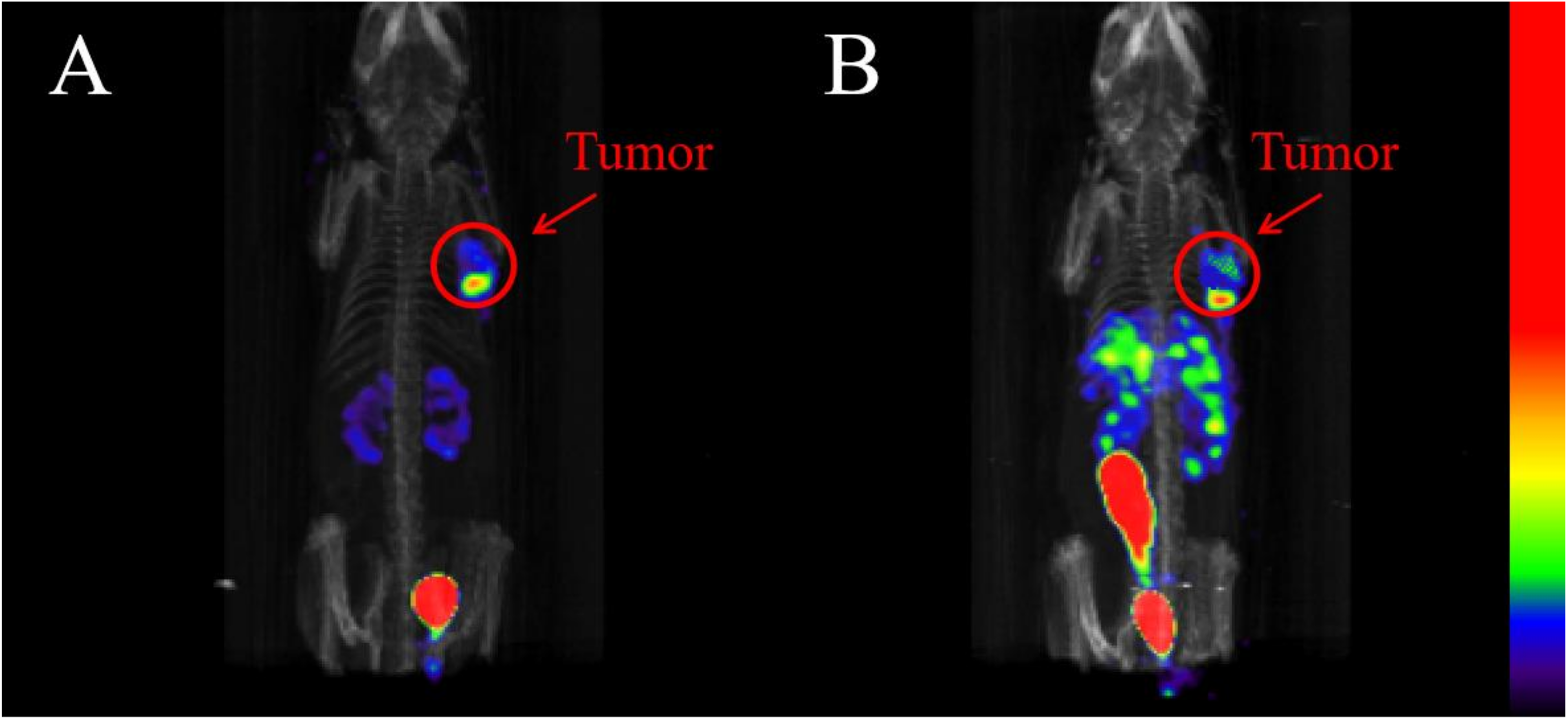 Pharmaceuticals 16 00612 g005 Pharmaceuticals 16 00612 g005