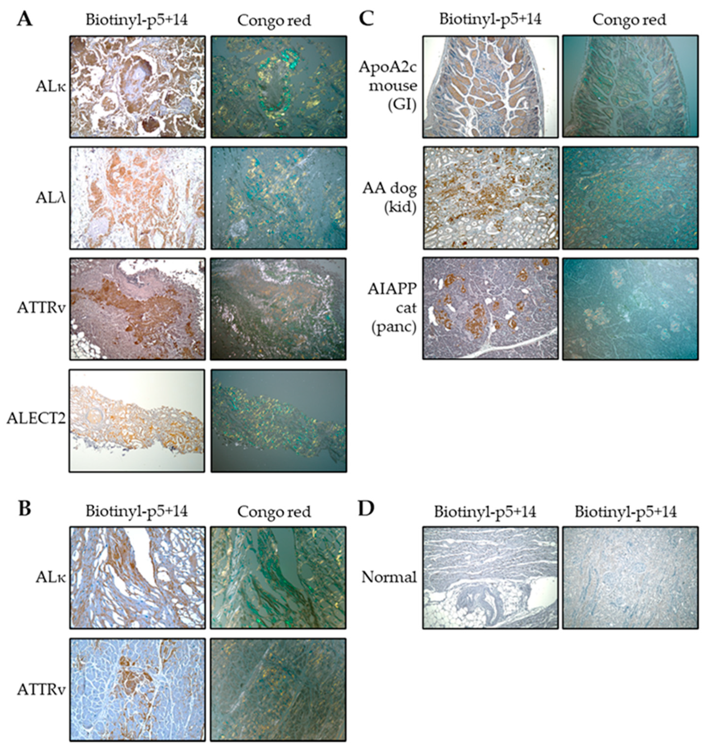 Pharmaceuticals 16 00629 g001