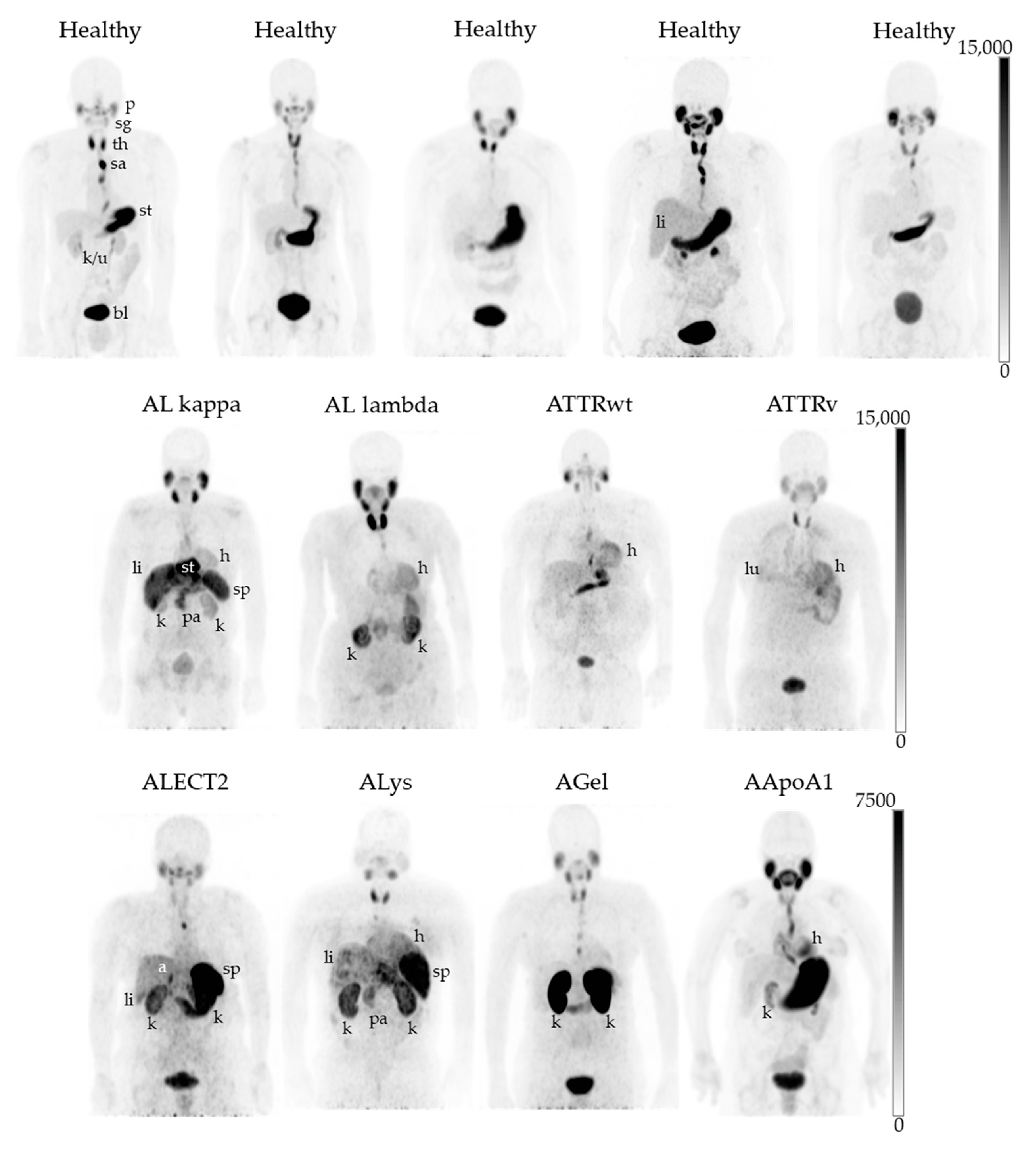 Pharmaceuticals 16 00629 g003