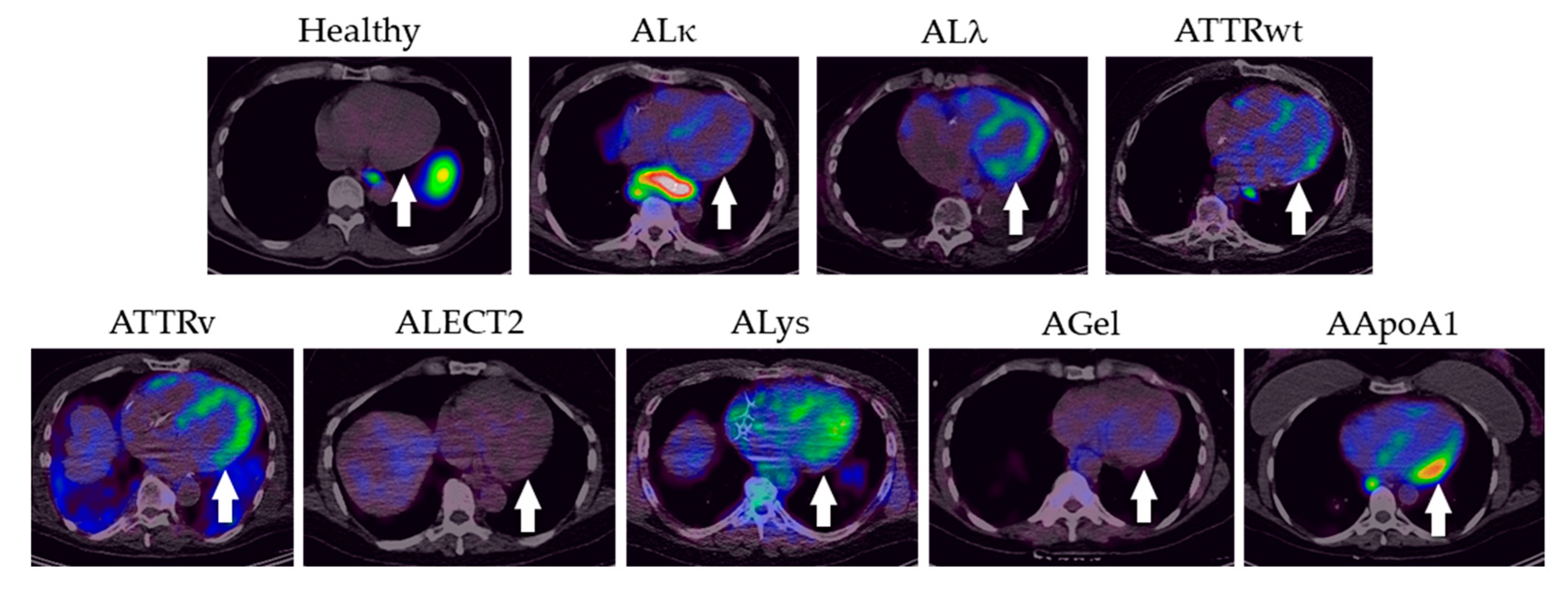 Pharmaceuticals 16 00629 g004