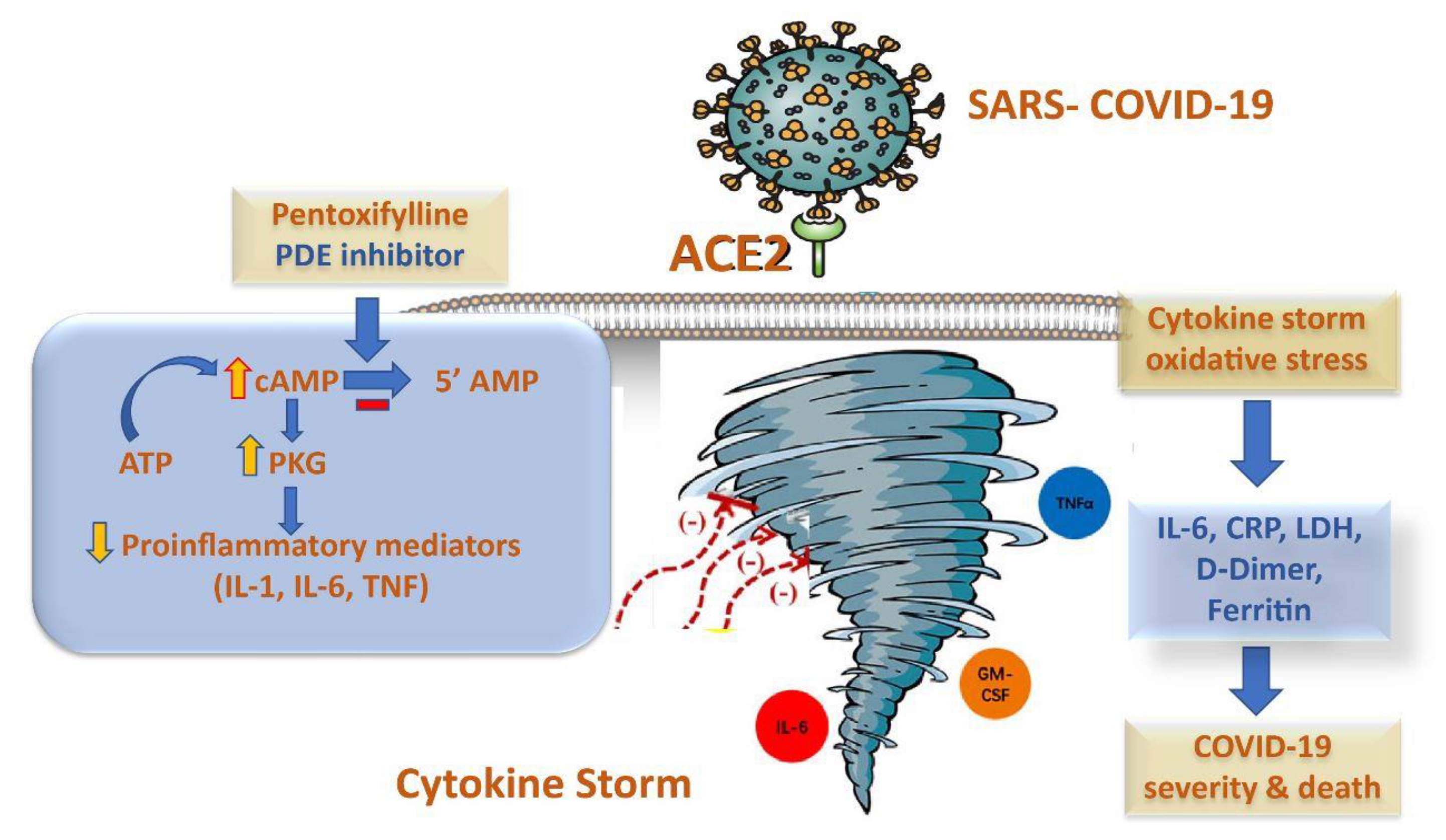Pharmaceuticals 16 00631 g001 Pharmaceuticals 16 00631 g001