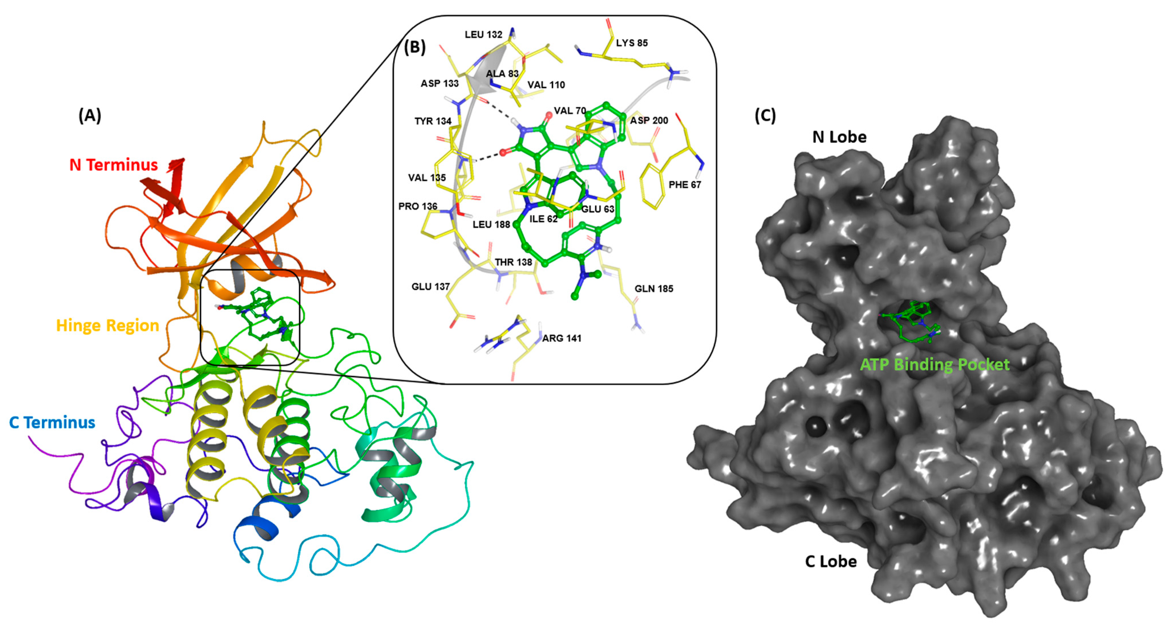 Pharmaceuticals 16 00661 g001