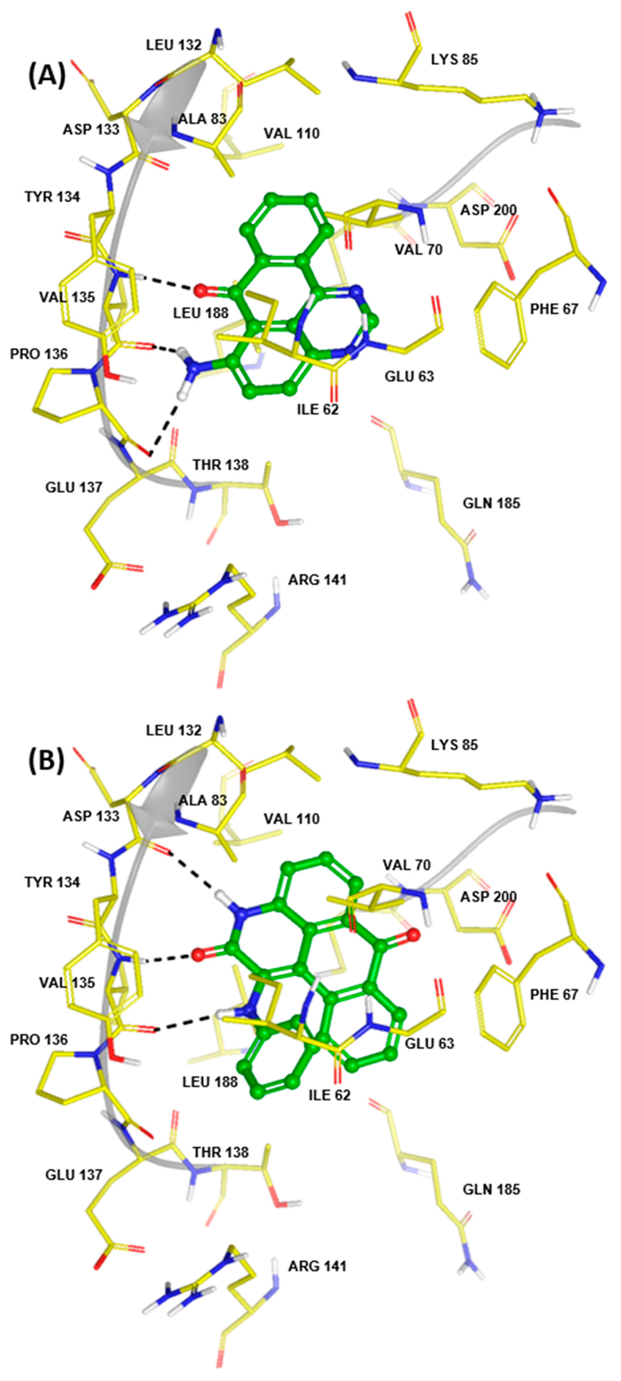 Pharmaceuticals 16 00661 g004