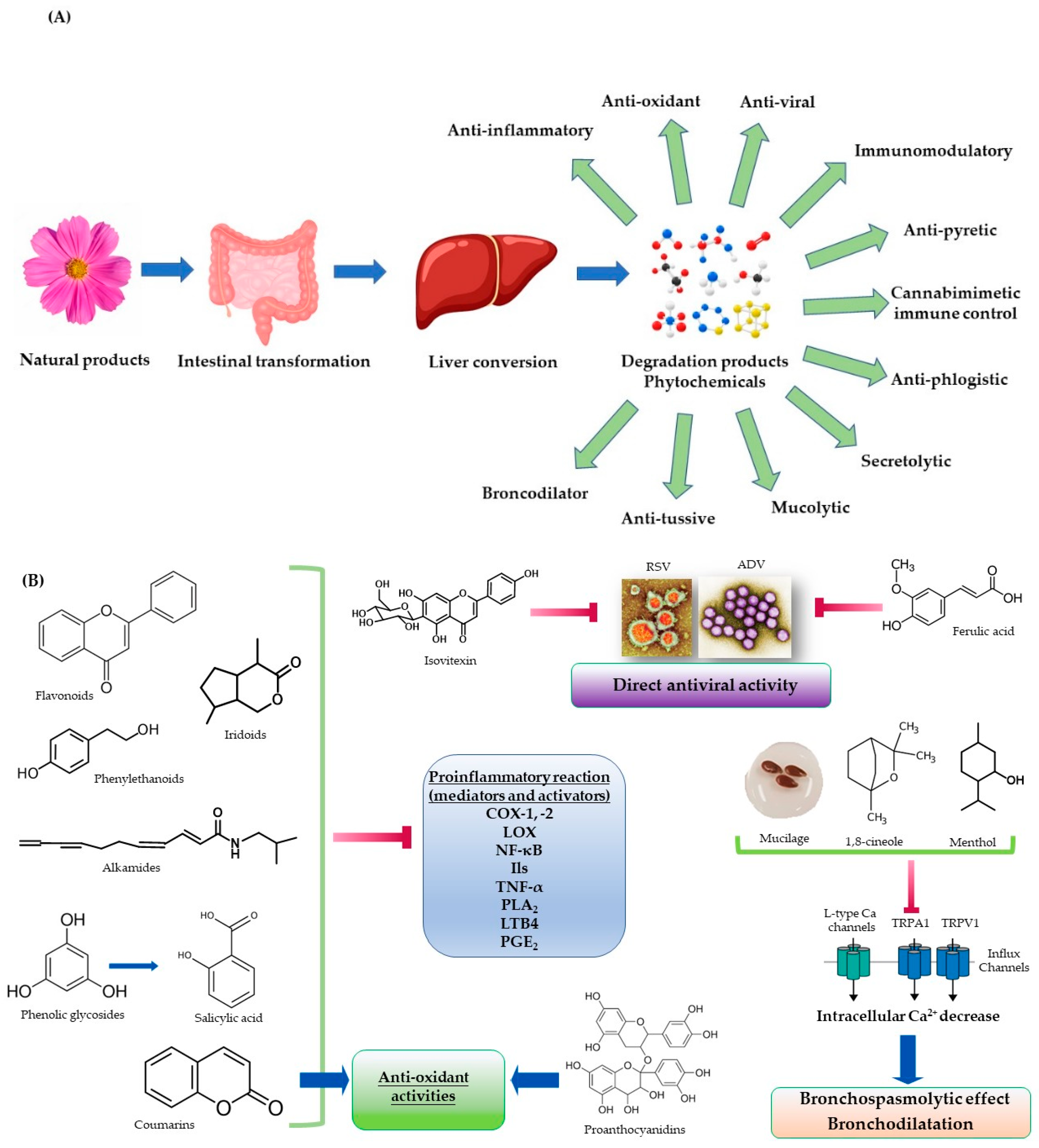 Pharmaceuticals 16 00662 g001