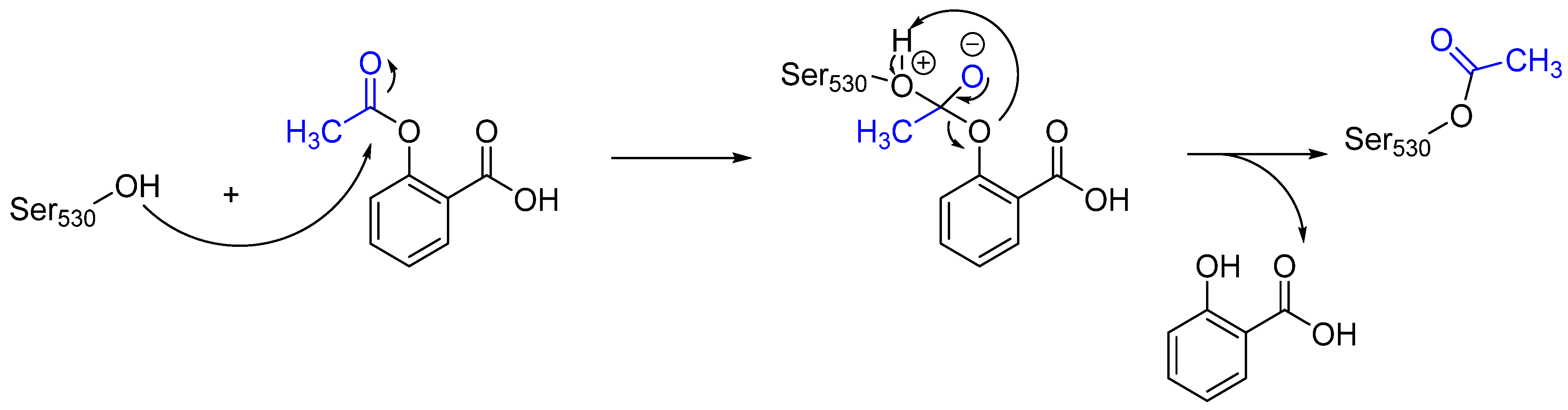 Pharmaceuticals 16 00663 g004