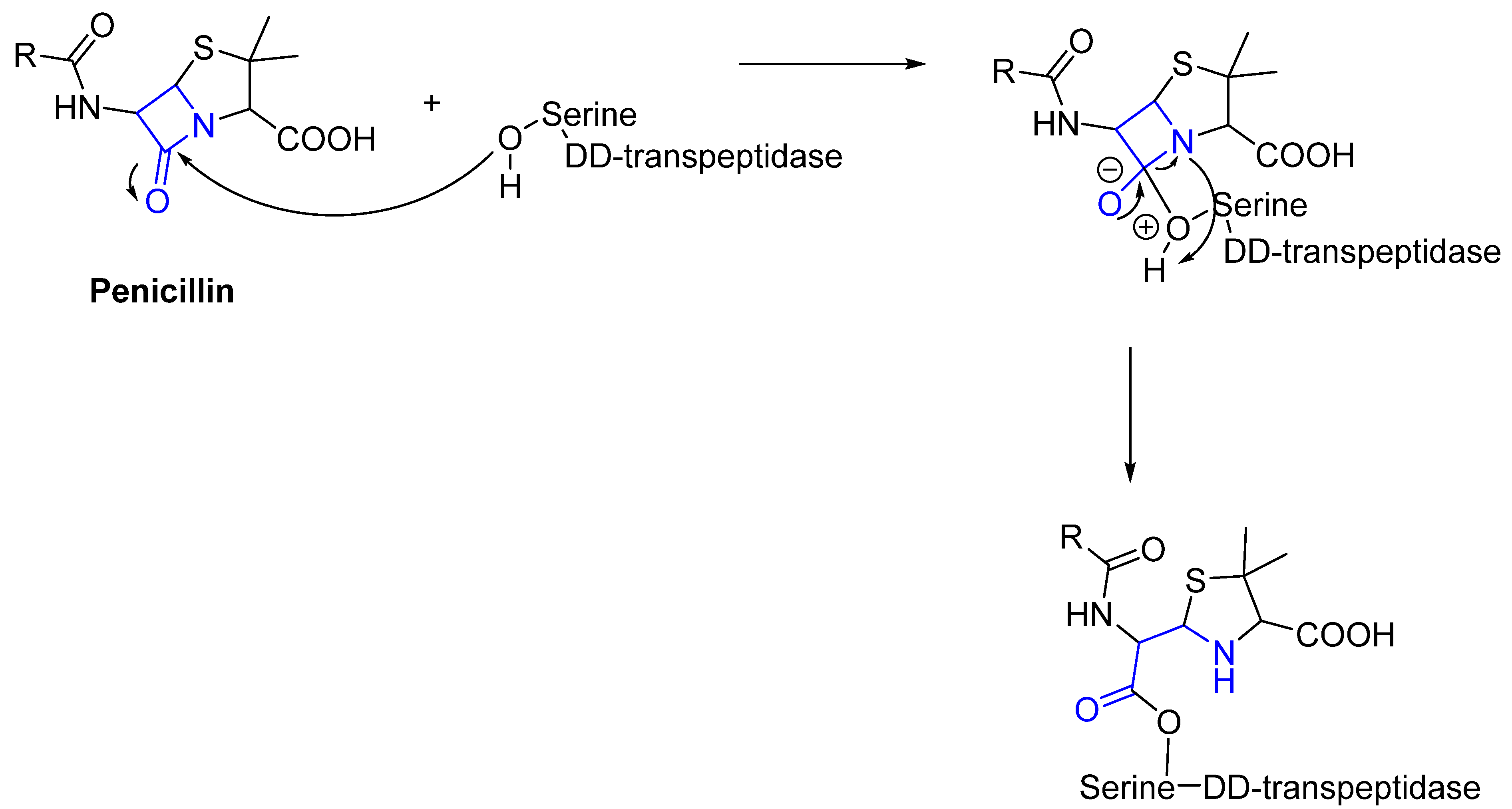 Pharmaceuticals 16 00663 g009