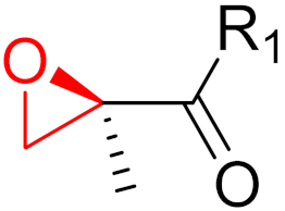Pharmaceuticals 16 00663 i004