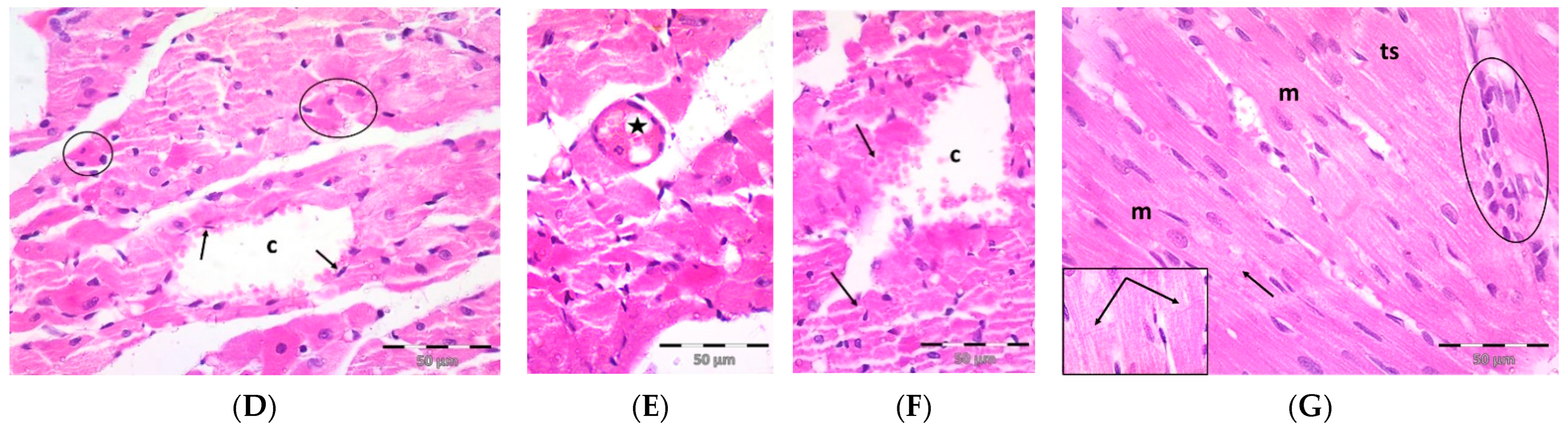 Pharmaceuticals 16 00665 g001b