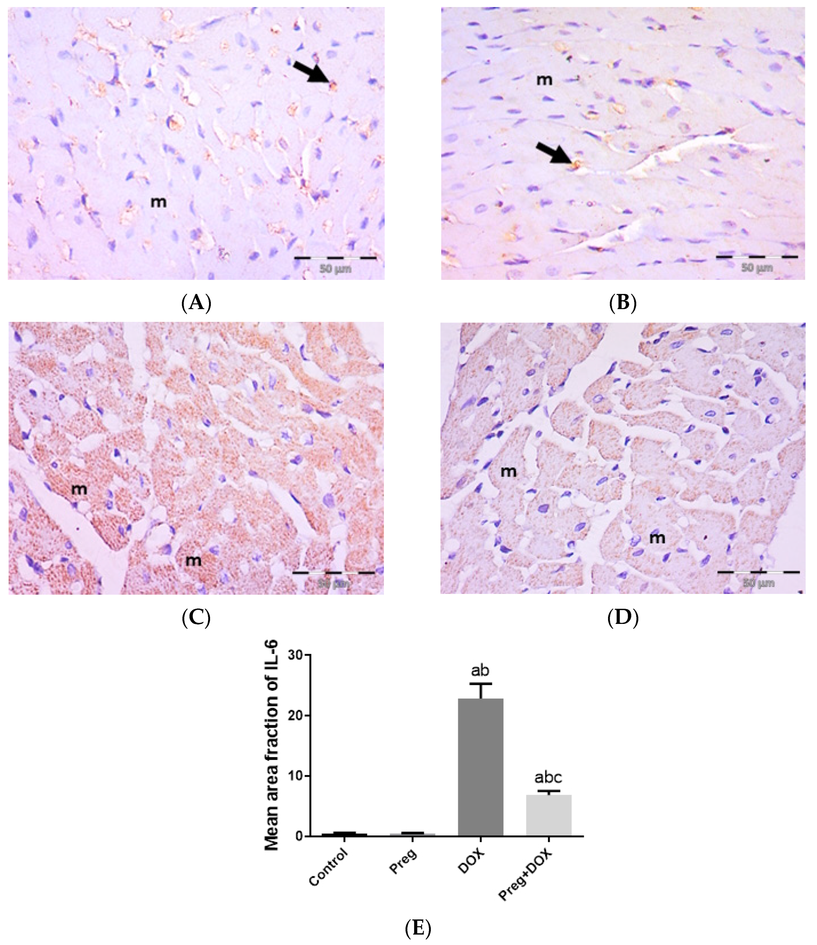 Pharmaceuticals 16 00665 g005