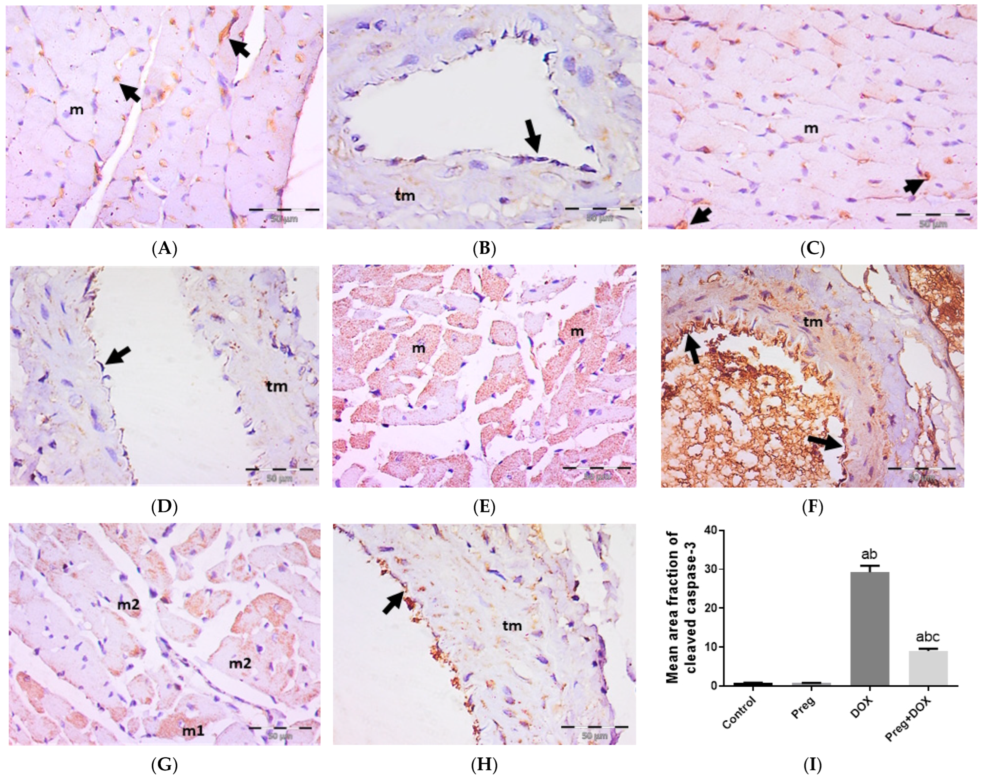 Pharmaceuticals 16 00665 g006