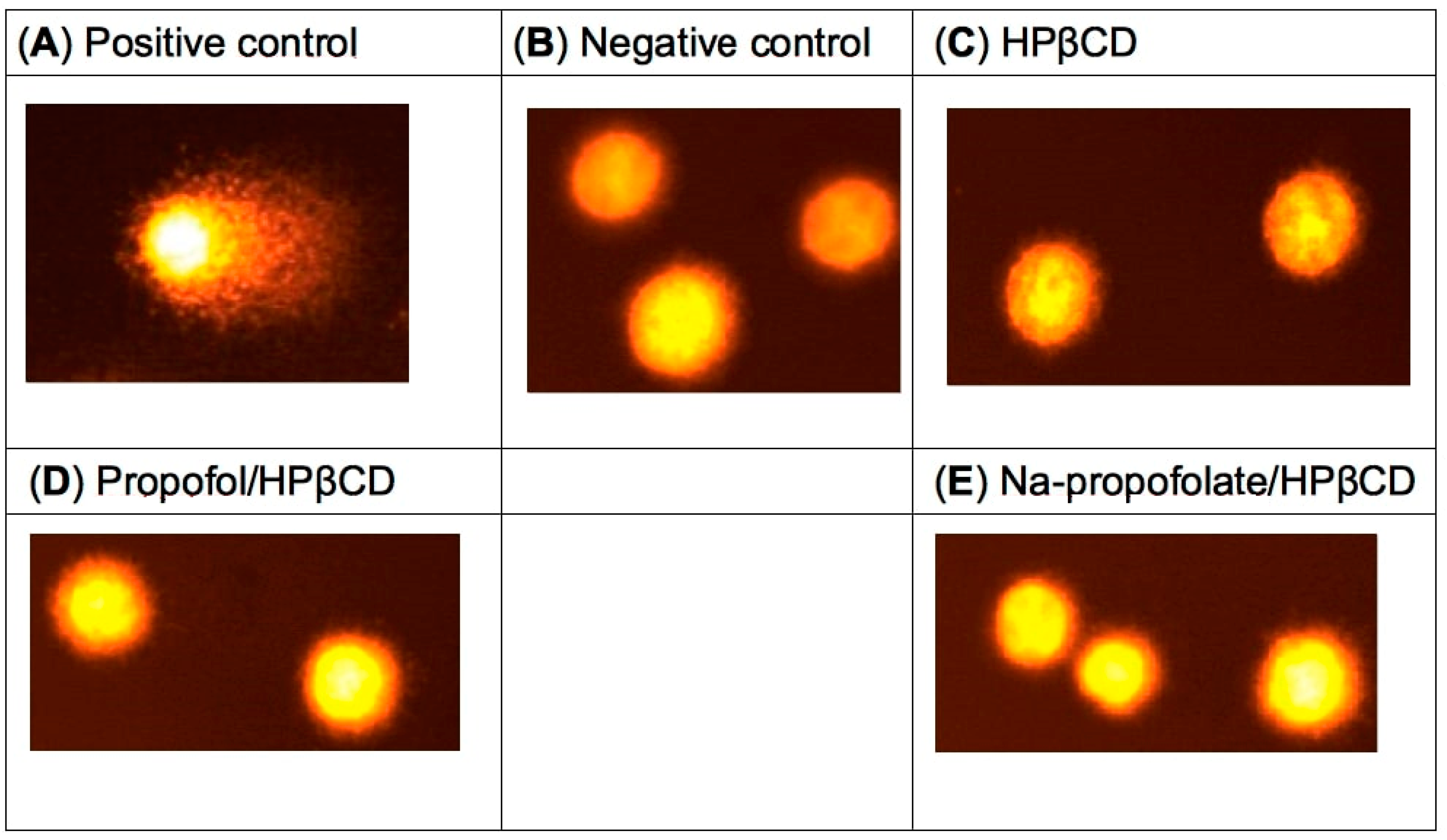 Pharmaceuticals 16 00667 g008
