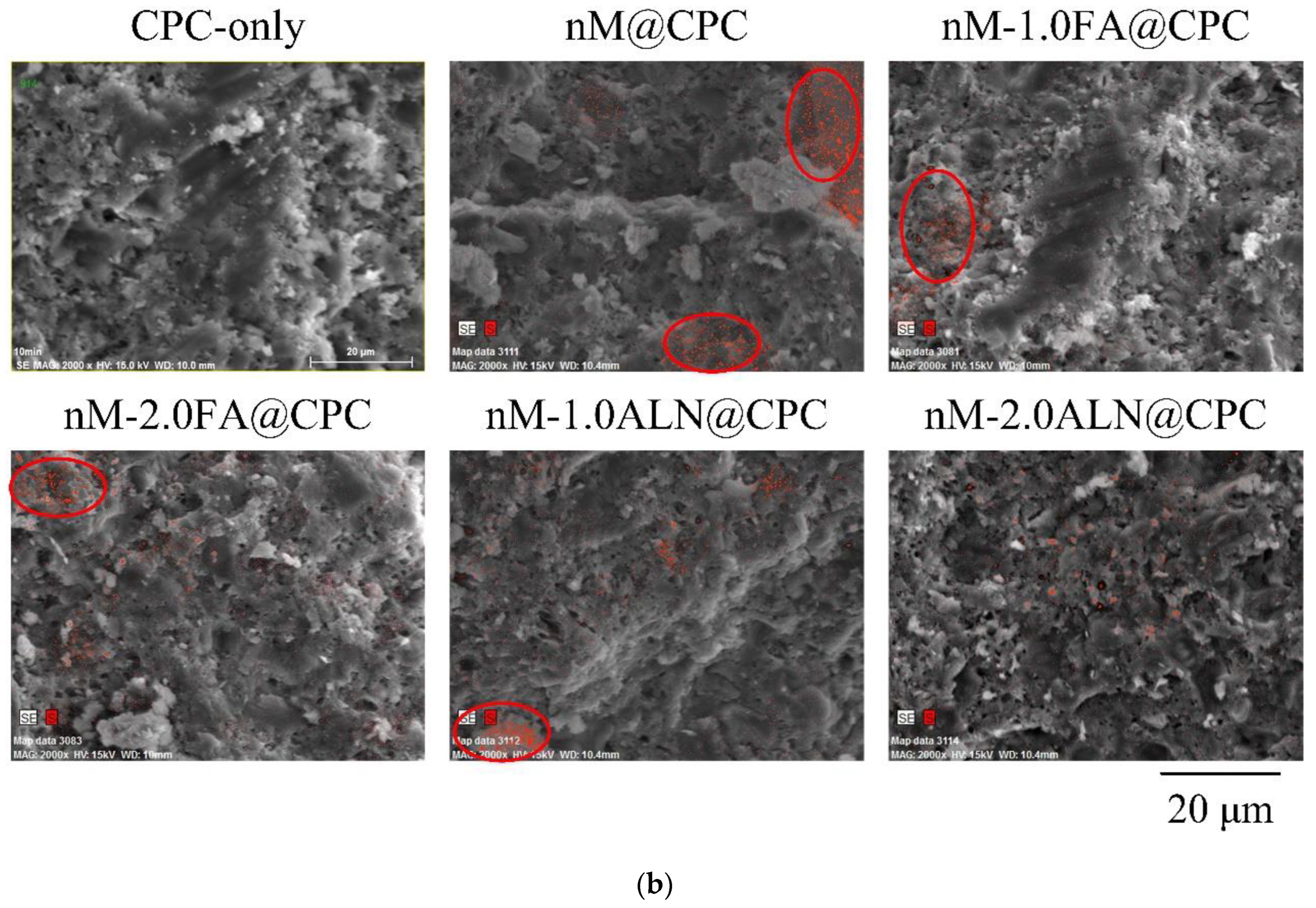 Pharmaceuticals 16 00680 g004b