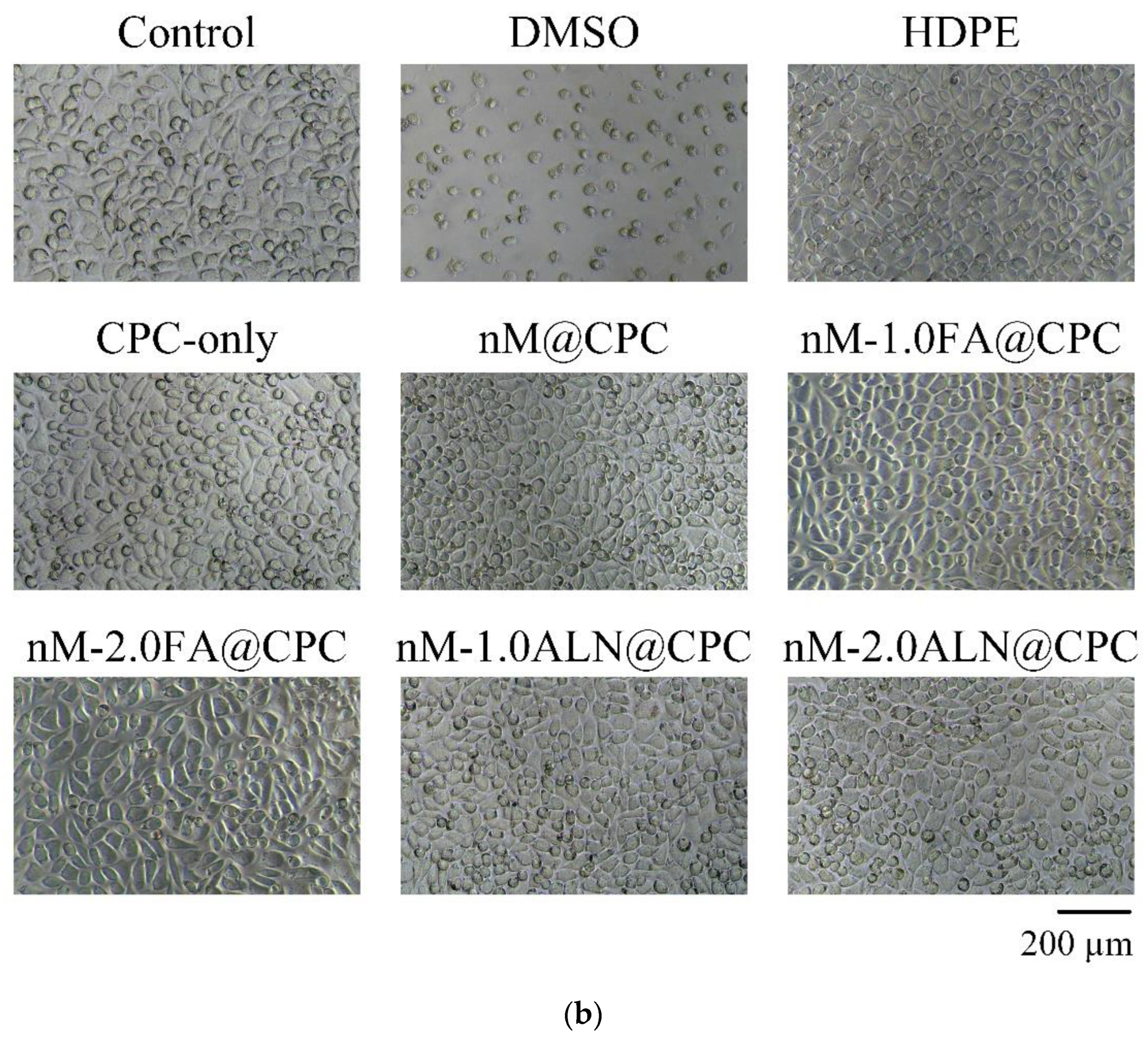 Pharmaceuticals 16 00680 g006b