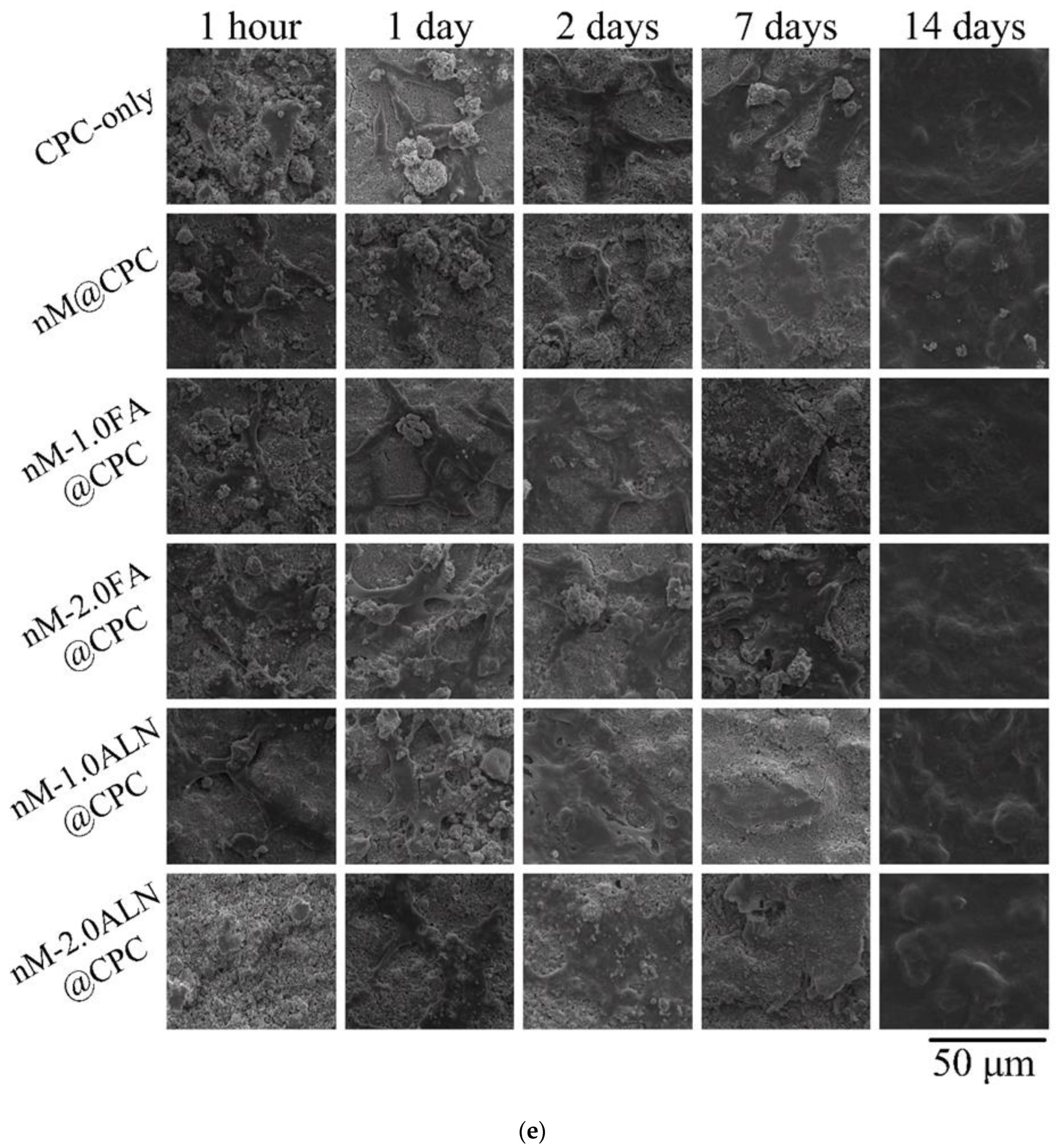 Pharmaceuticals 16 00680 g007c