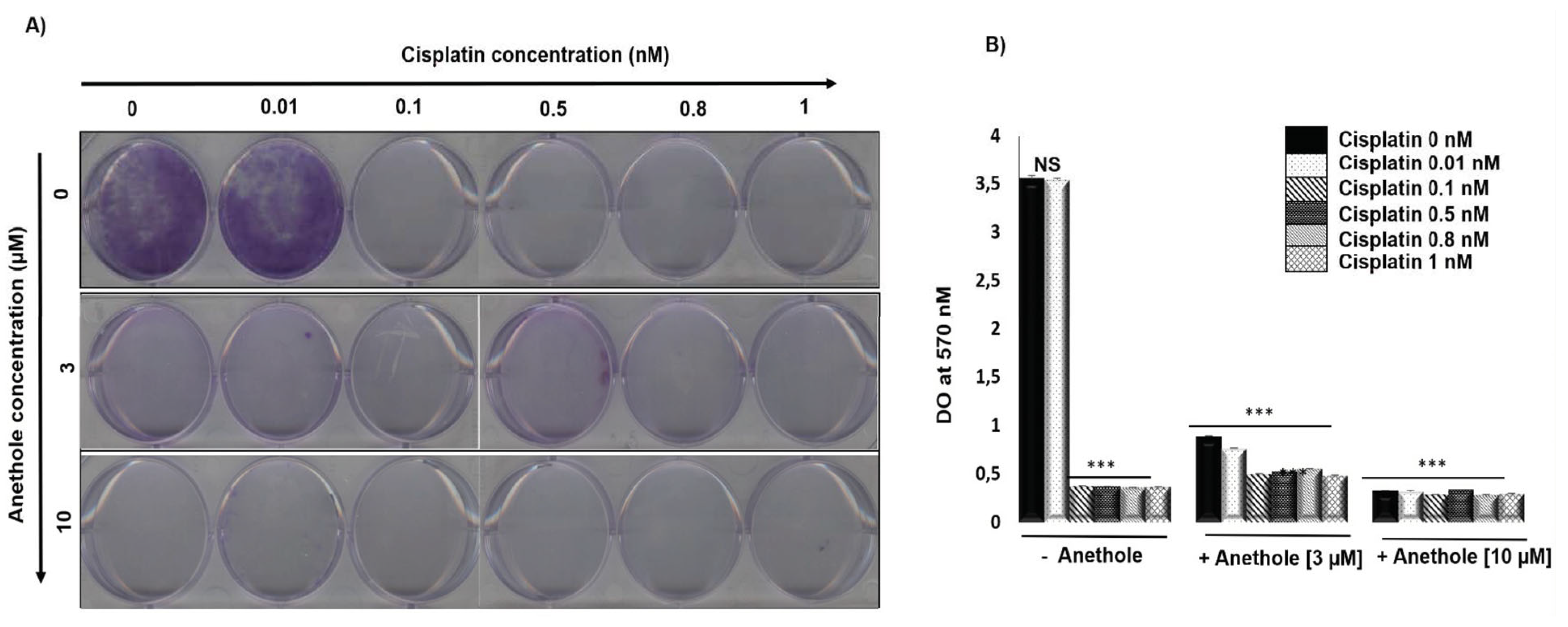 Pharmaceuticals 16 00700 g003 Pharmaceuticals 16 00700 g003