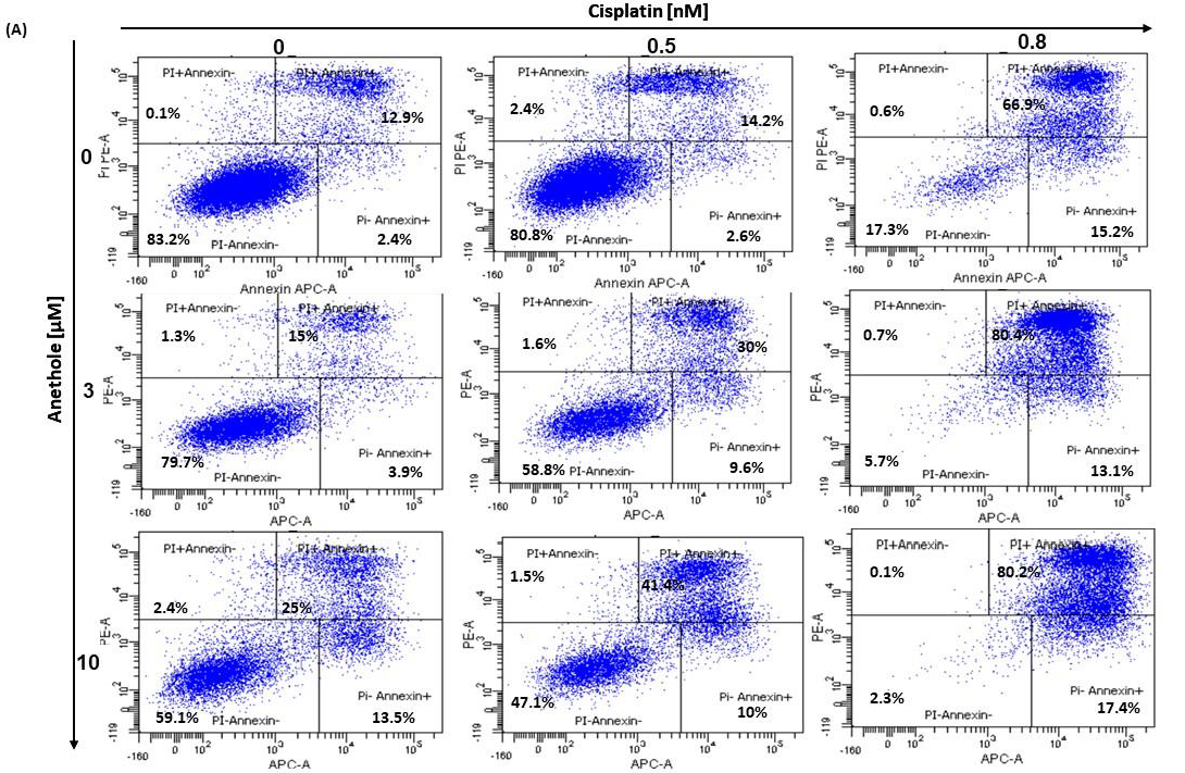 Pharmaceuticals 16 00700 g005a Pharmaceuticals 16 00700 g005a