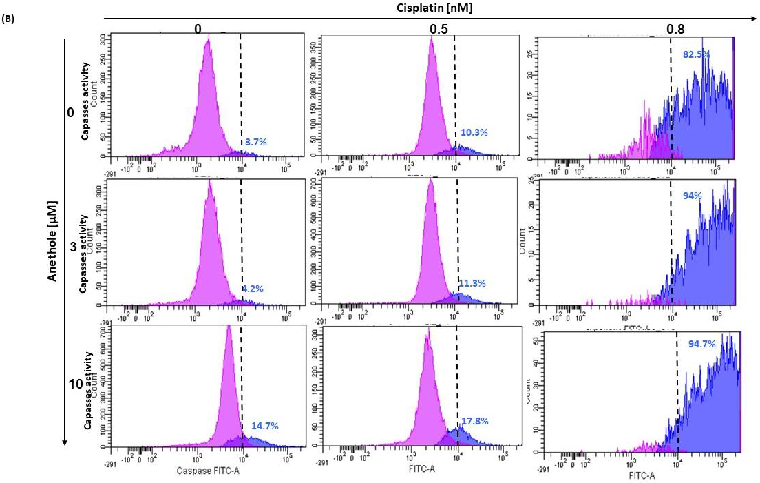Pharmaceuticals 16 00700 g005b Pharmaceuticals 16 00700 g005b