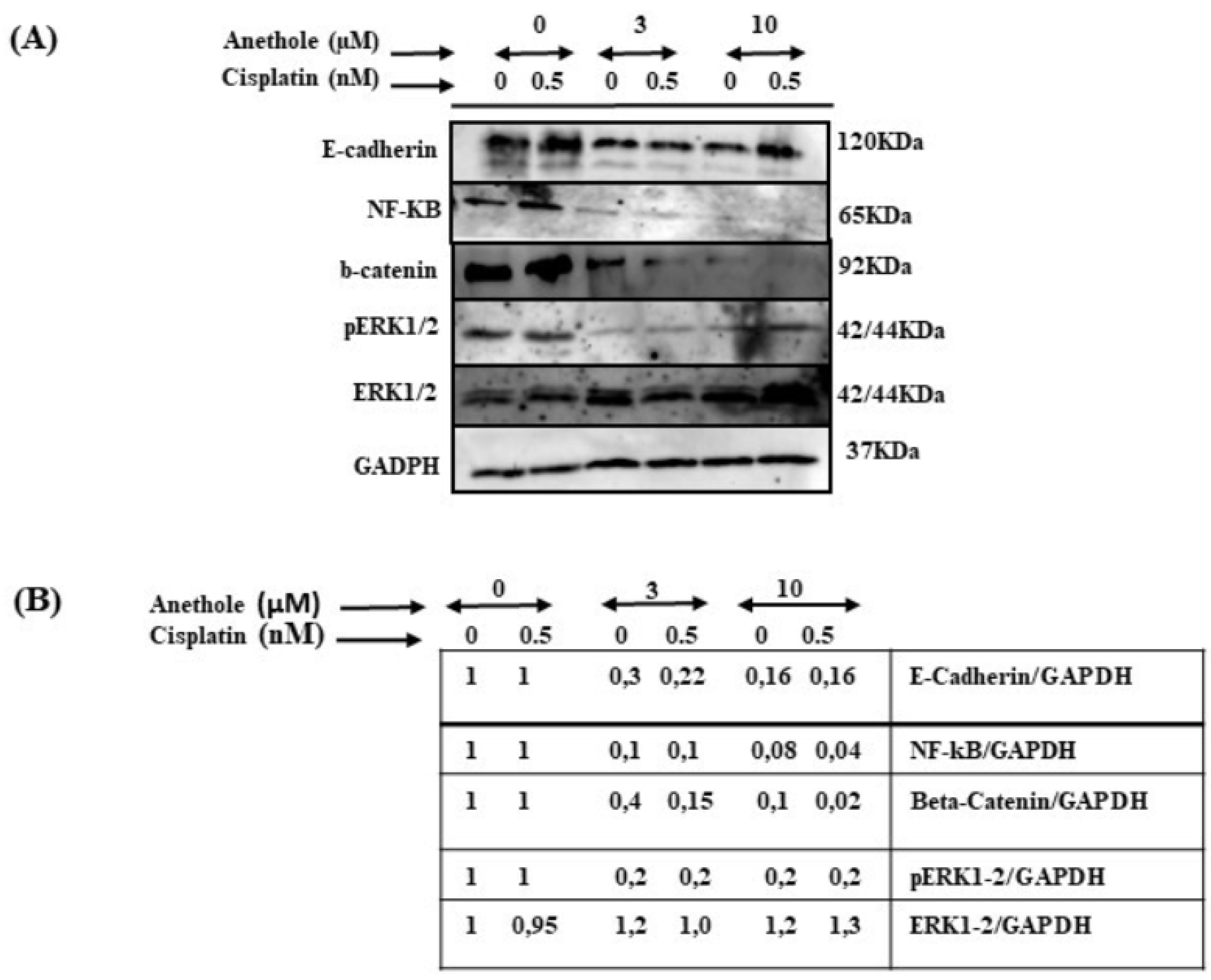 Pharmaceuticals 16 00700 g008 Pharmaceuticals 16 00700 g008