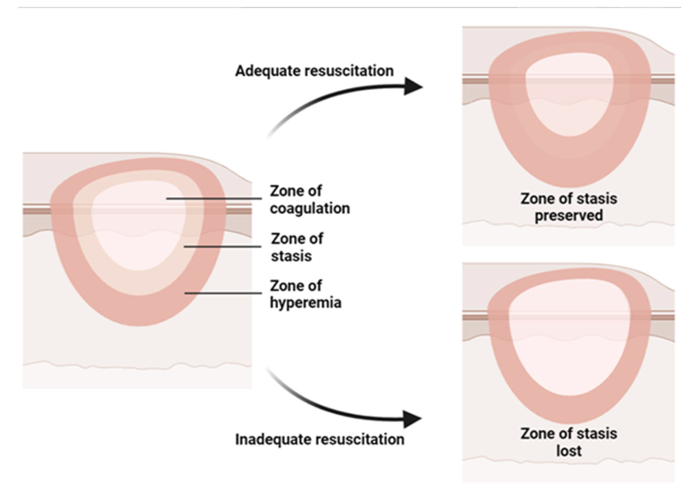 Pharmaceuticals 16 00701 g001