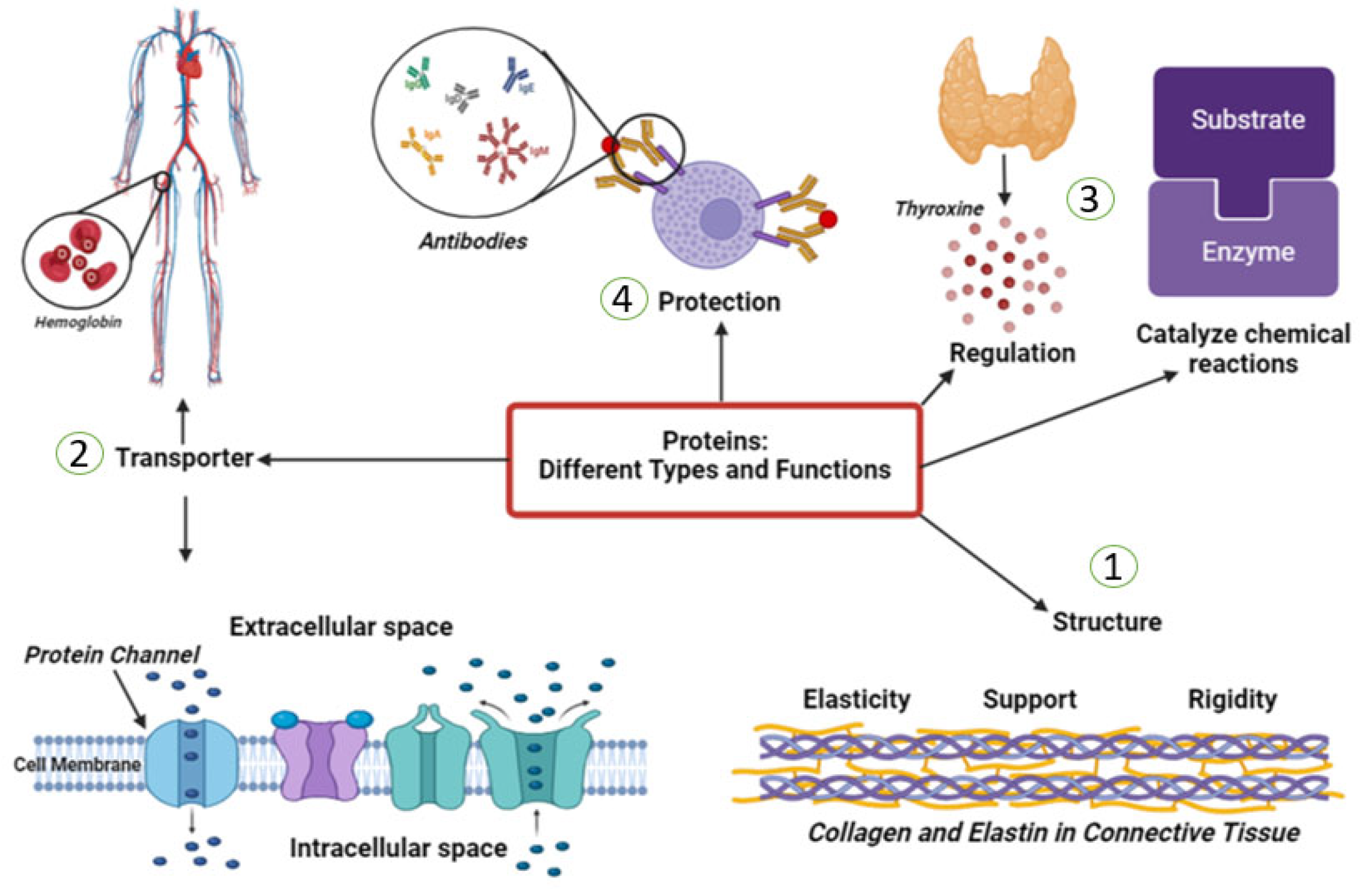 Pharmaceuticals 16 00701 g003