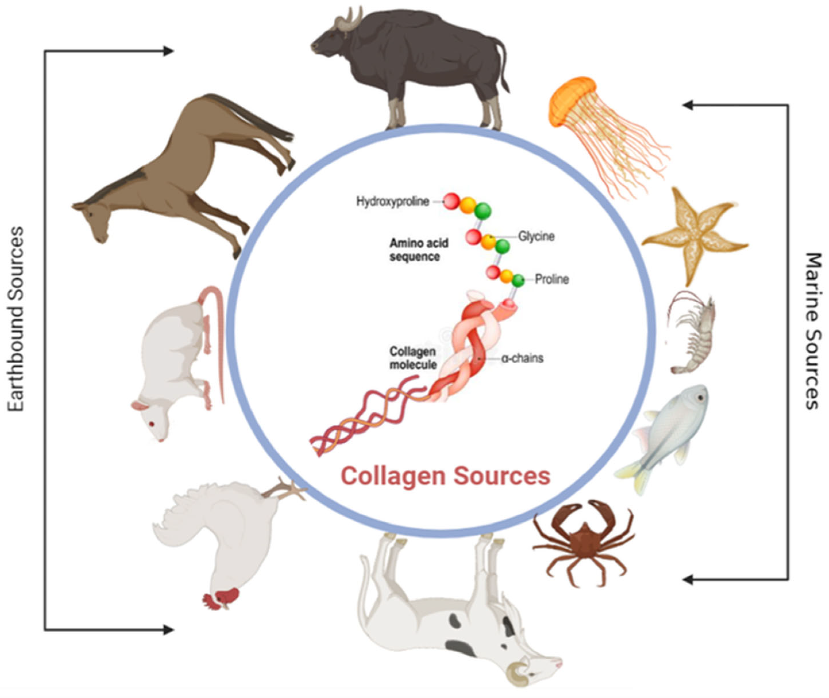 Pharmaceuticals 16 00701 g004