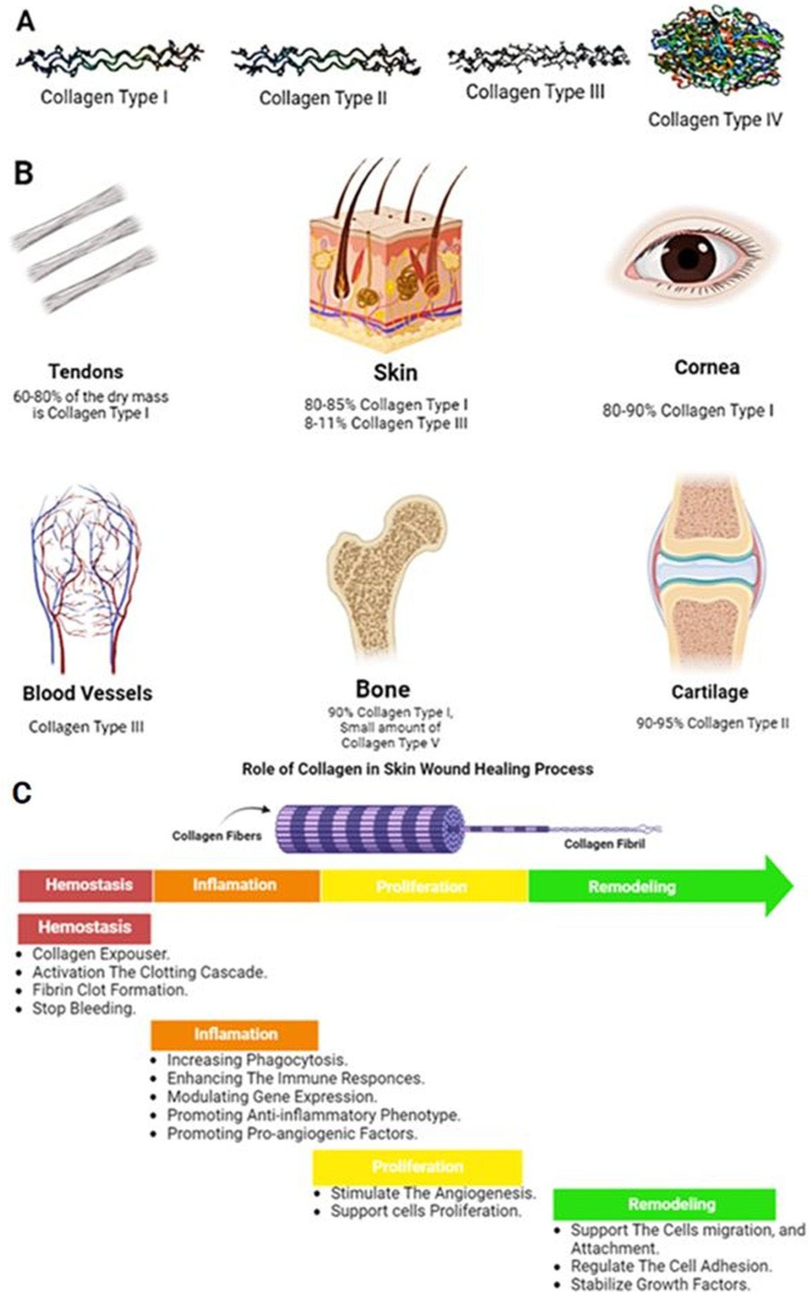 Pharmaceuticals 16 00701 g005