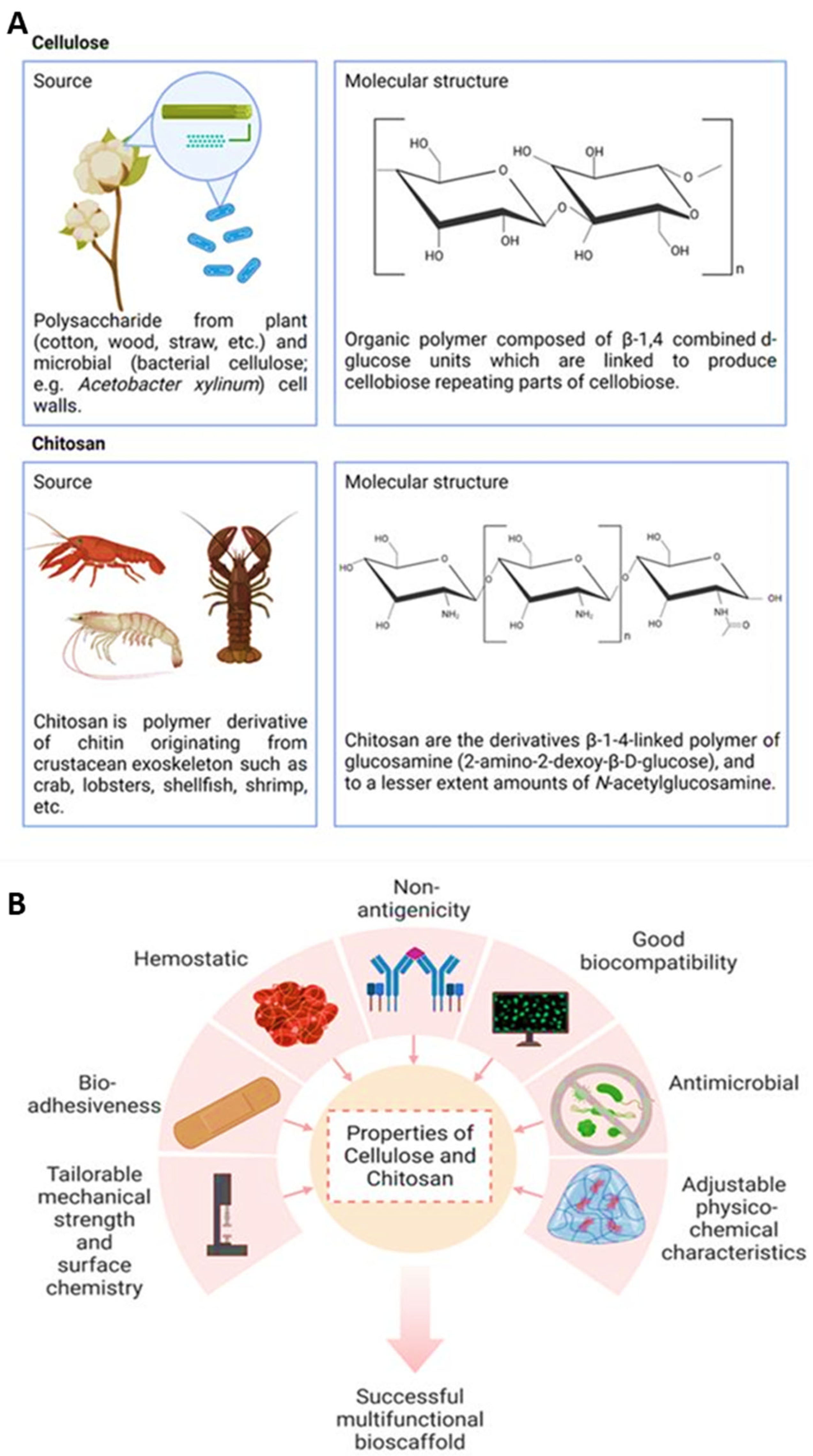 Pharmaceuticals 16 00701 g006