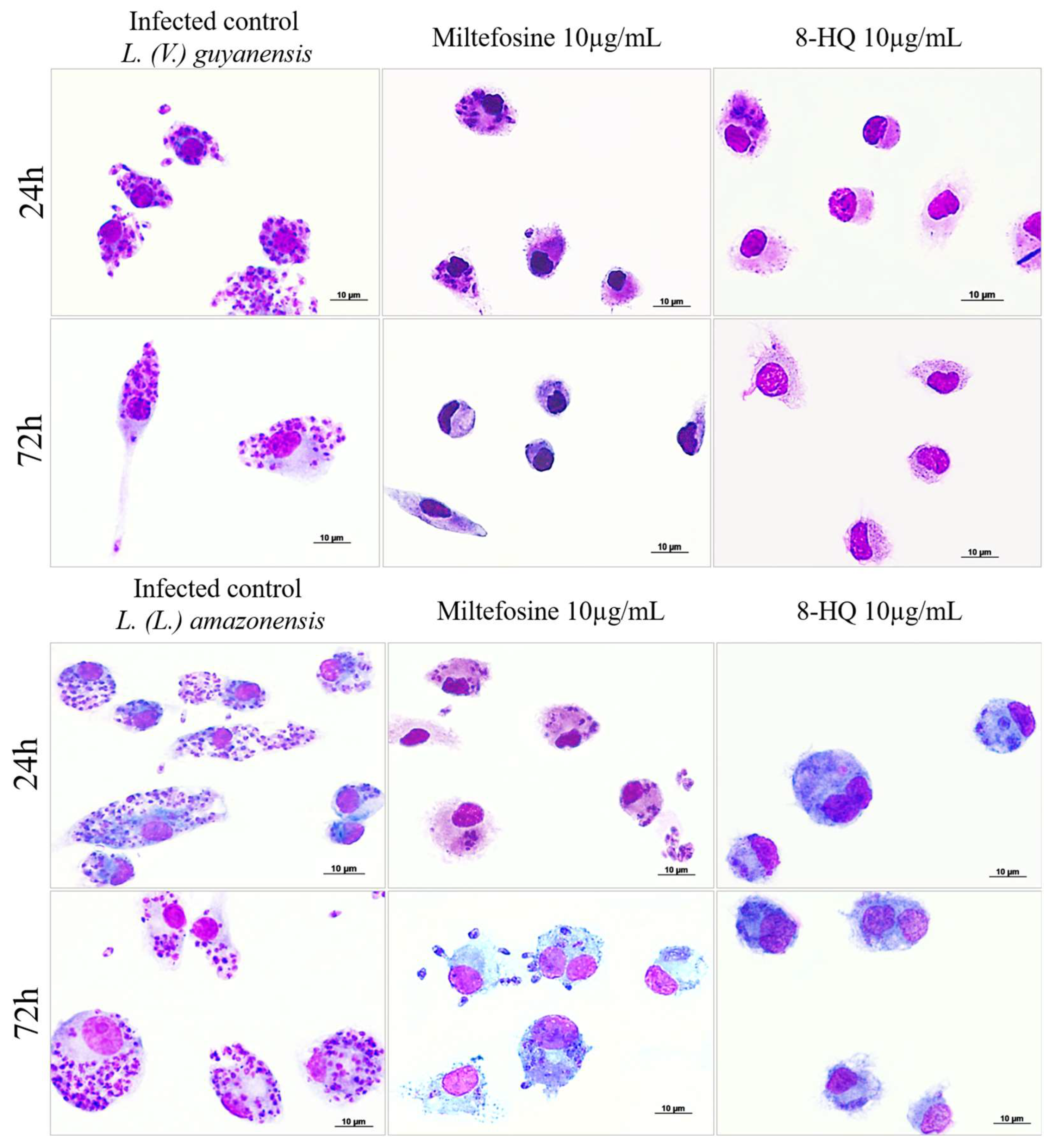 Pharmaceuticals 16 00707 g001