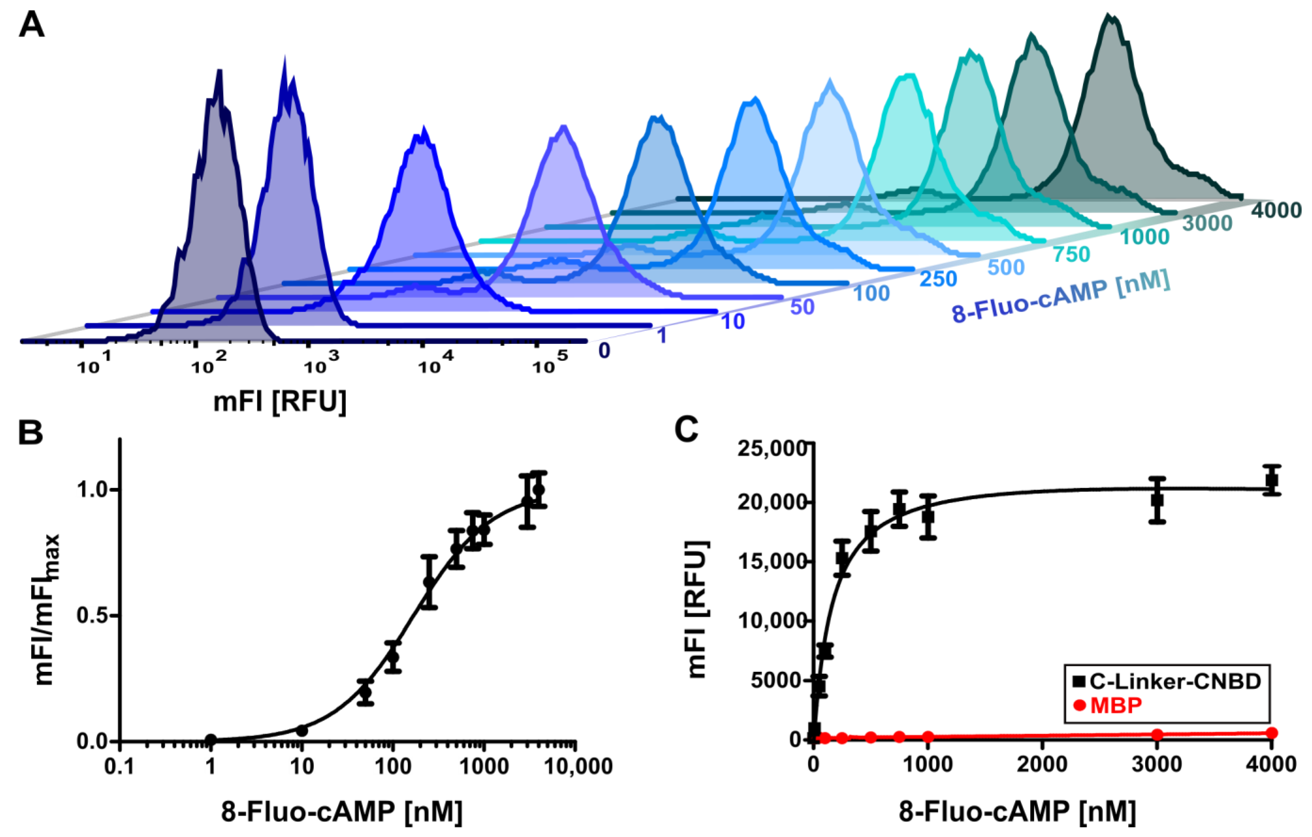 Pharmaceuticals 16 00710 g002 Pharmaceuticals 16 00710 g002