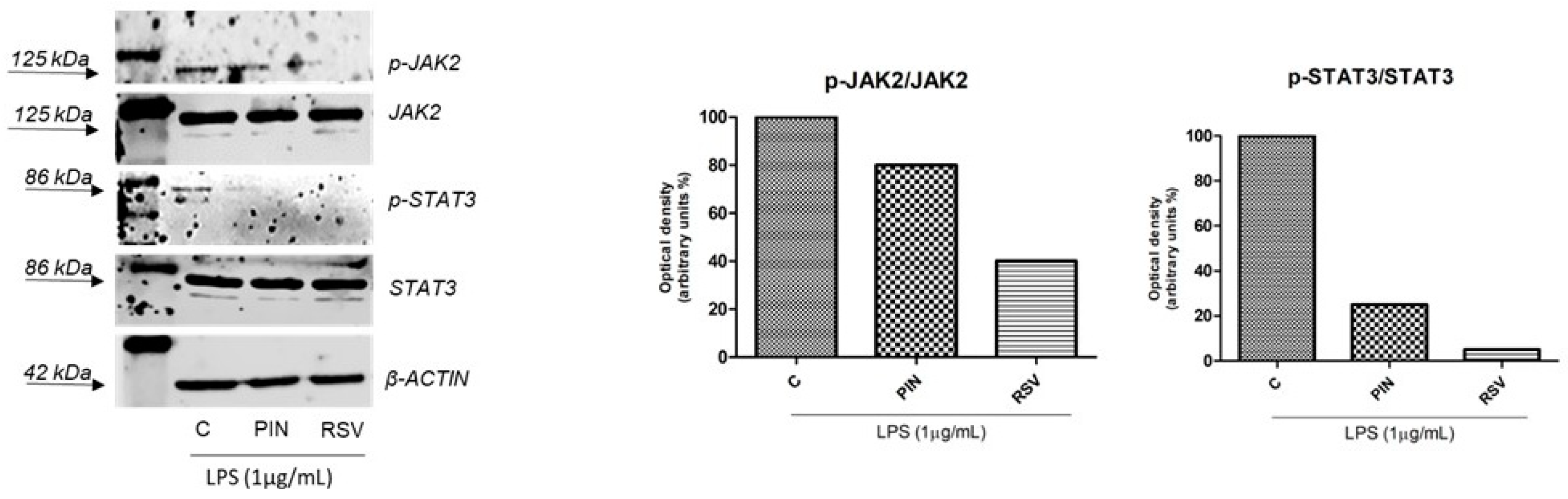 Pharmaceuticals 16 00718 g004 Pharmaceuticals 16 00718 g004