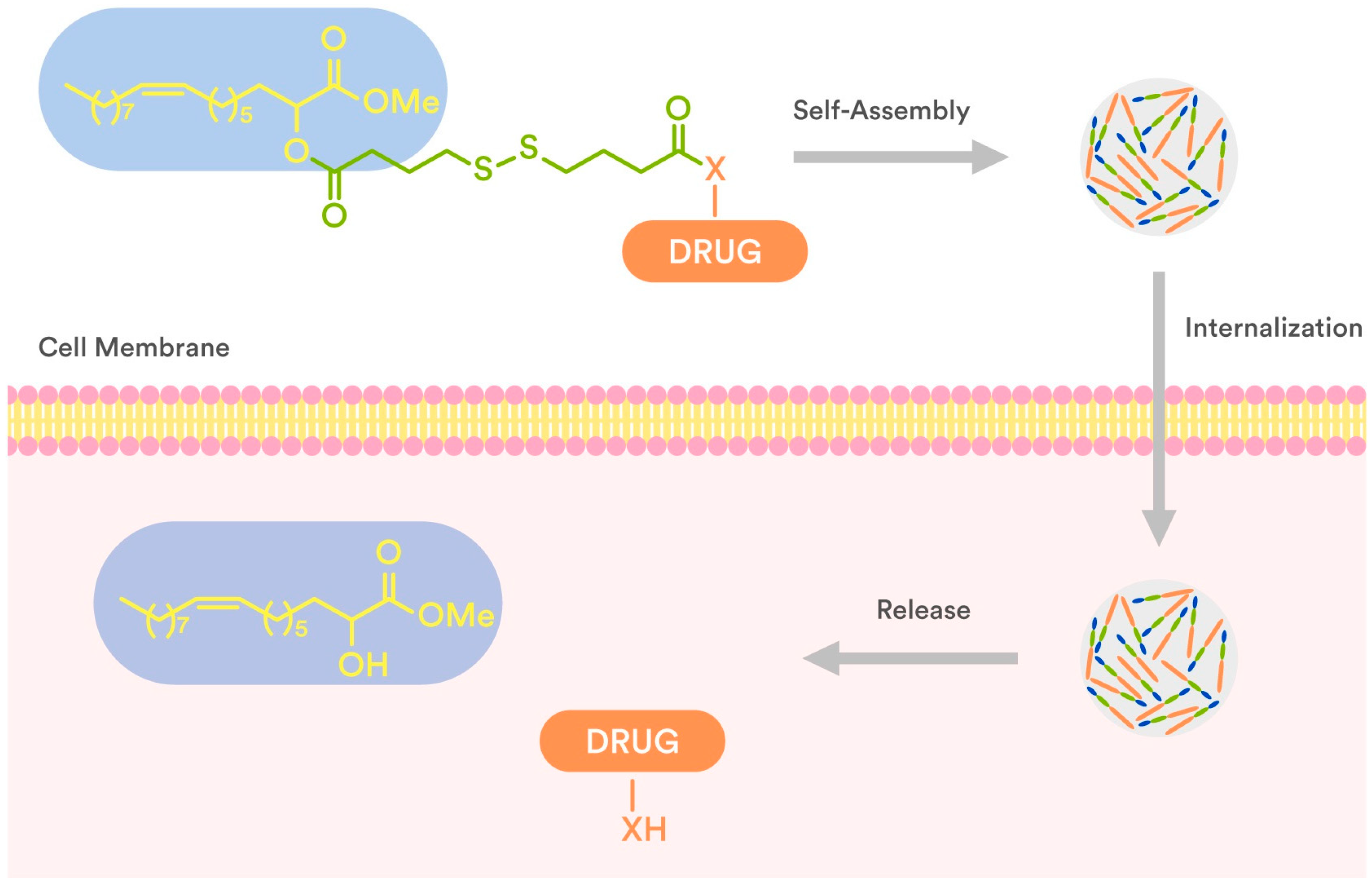 Pharmaceuticals 16 00722 g002