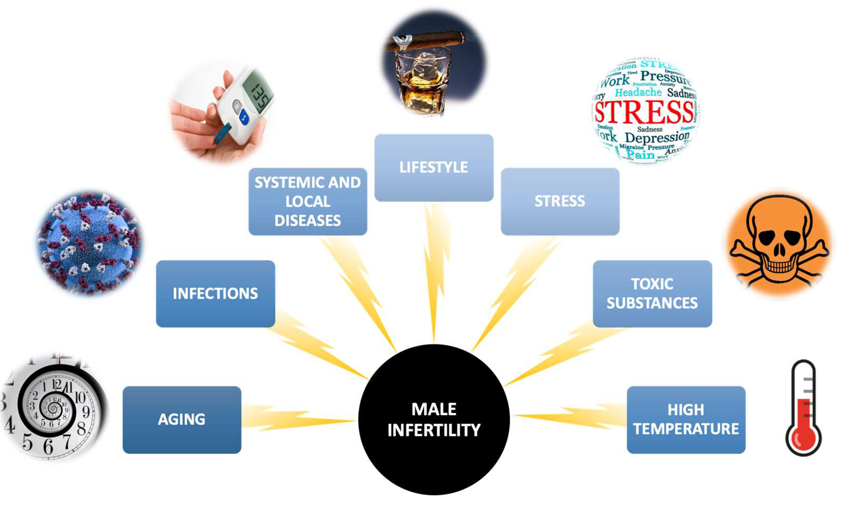 Pharmaceuticals 16 00723 g001