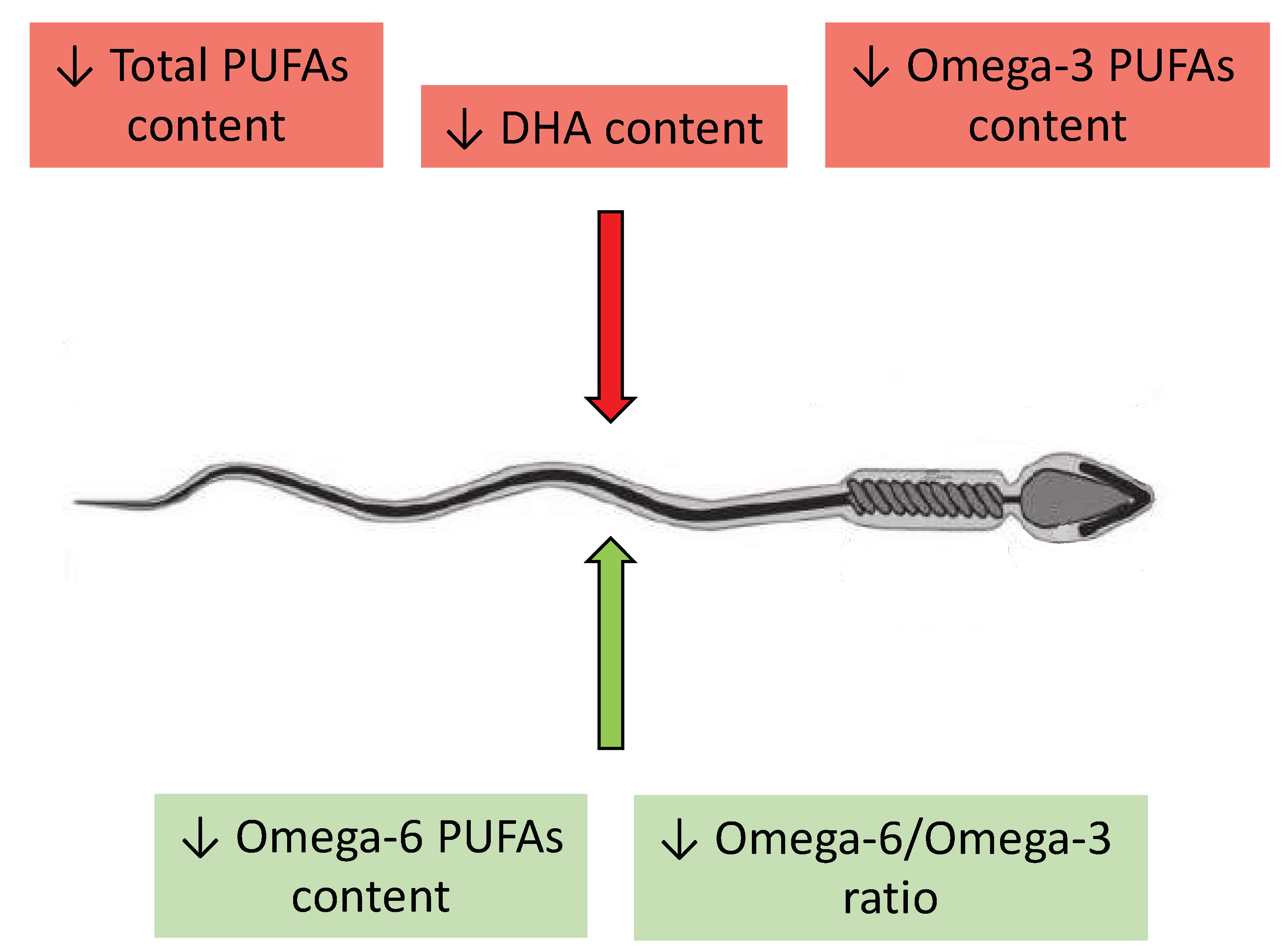 Pharmaceuticals 16 00723 g004