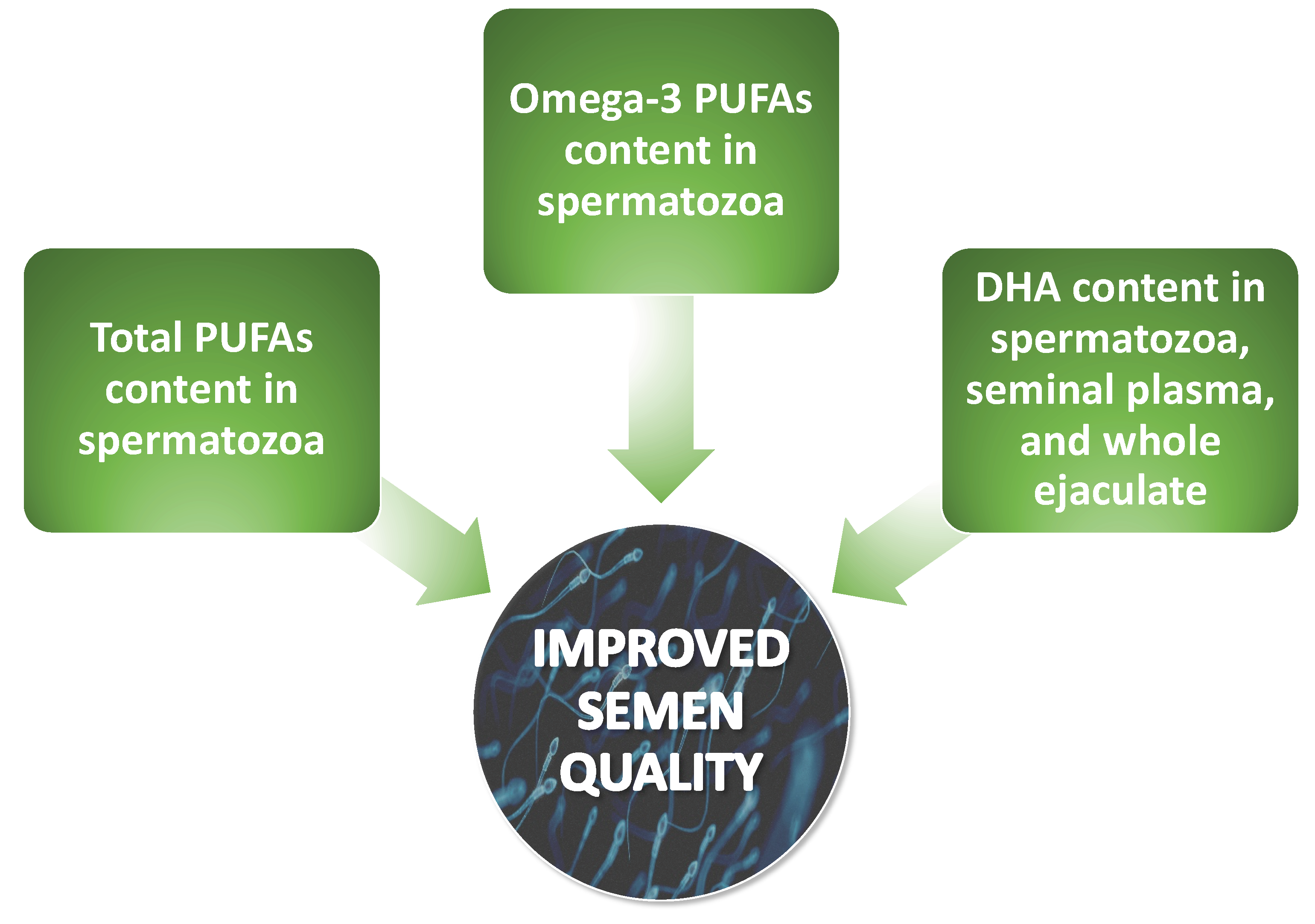 Pharmaceuticals 16 00723 g006