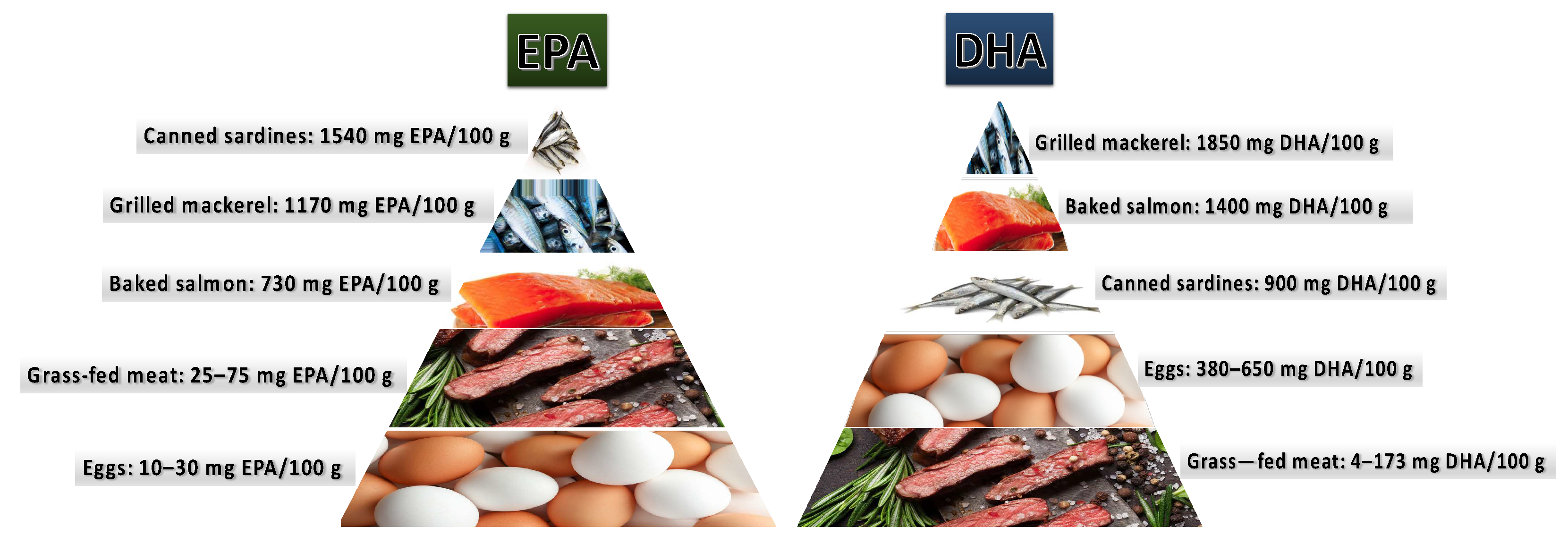 Pharmaceuticals 16 00723 g008