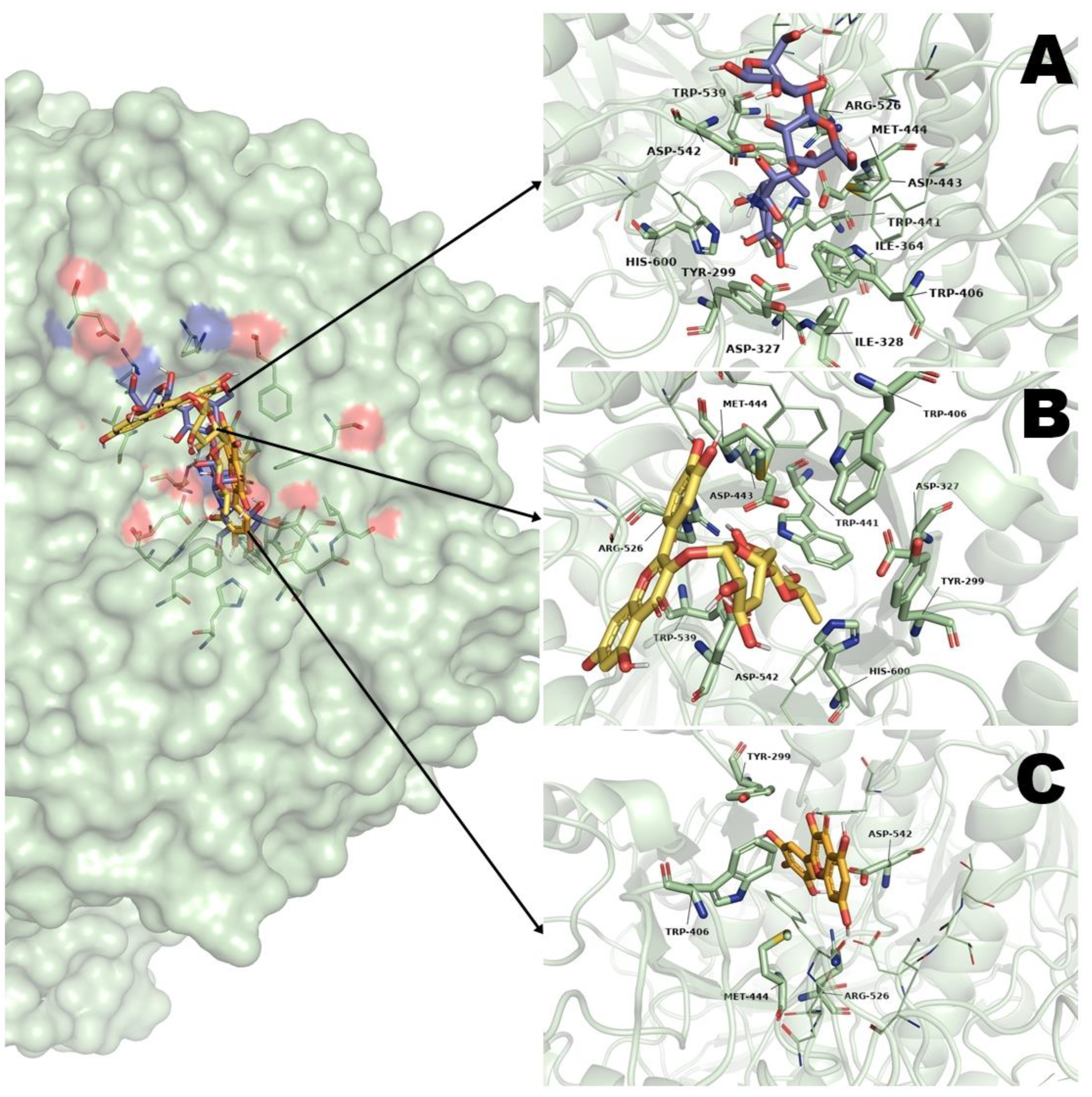Pharmaceuticals 16 00724 g003