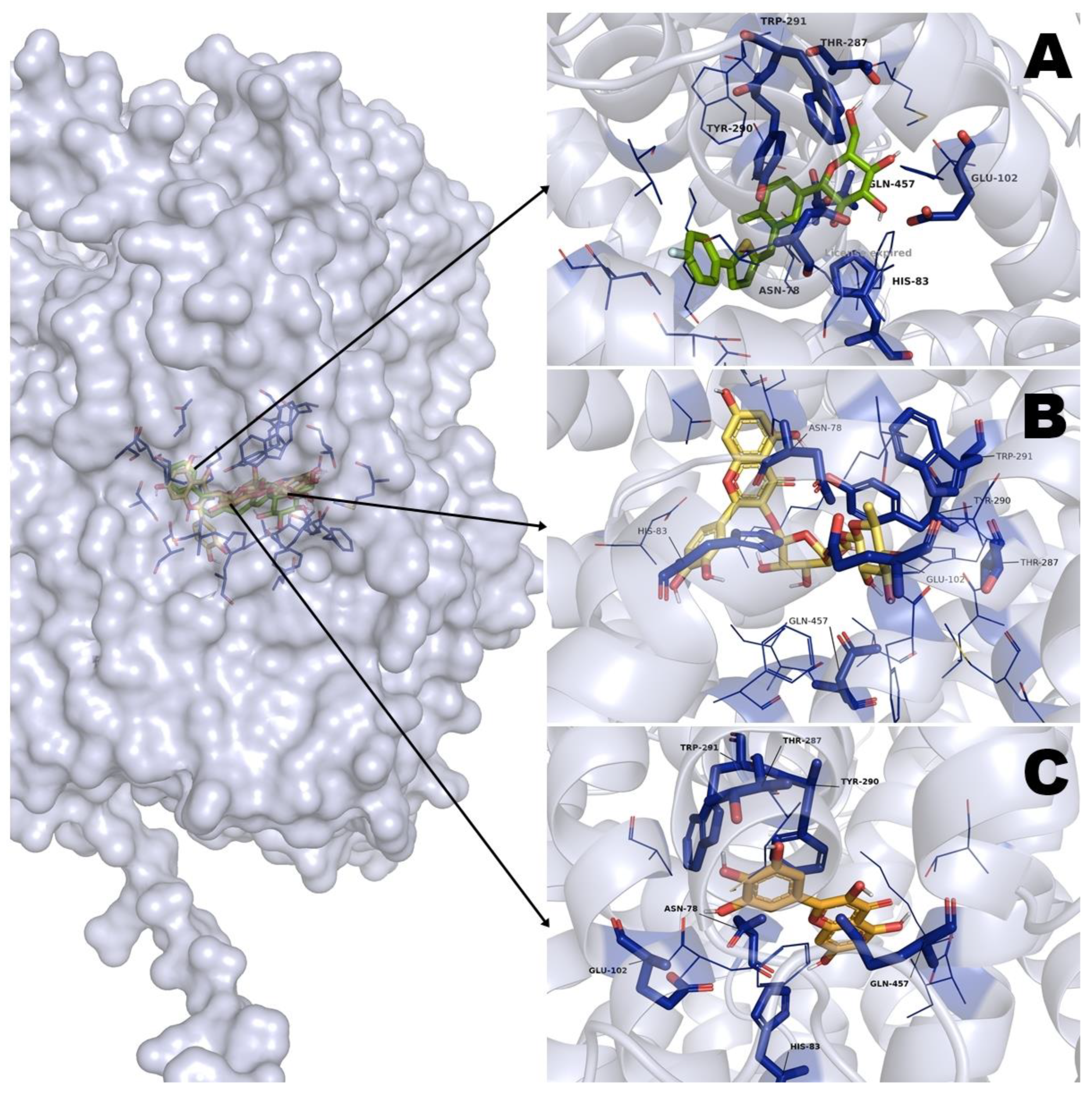 Pharmaceuticals 16 00724 g004