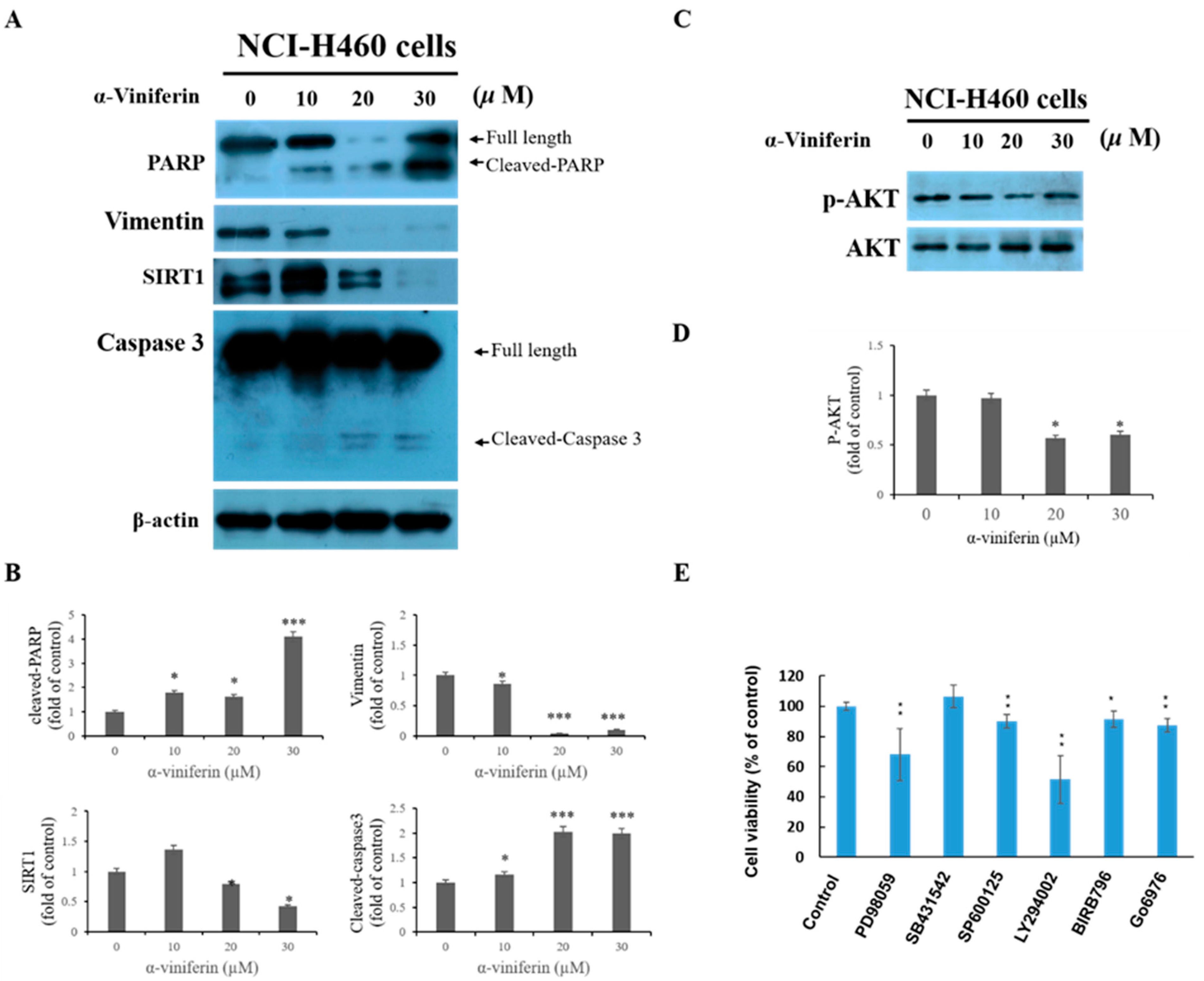 Pharmaceuticals 16 00727 g003 Pharmaceuticals 16 00727 g003