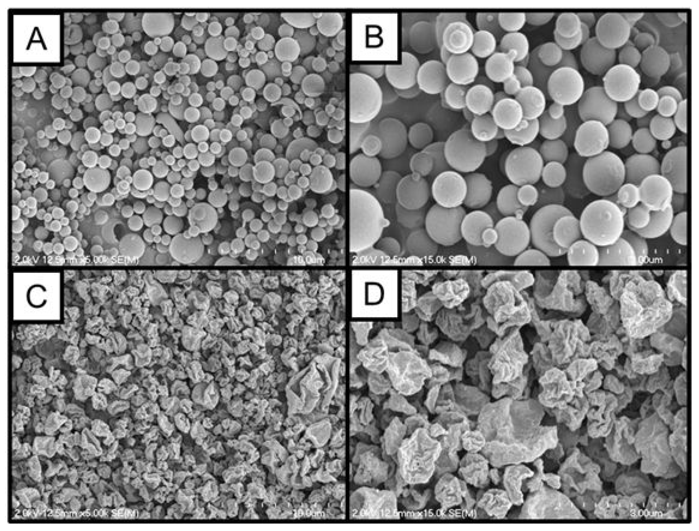 Pharmaceuticals 16 00729 g001
