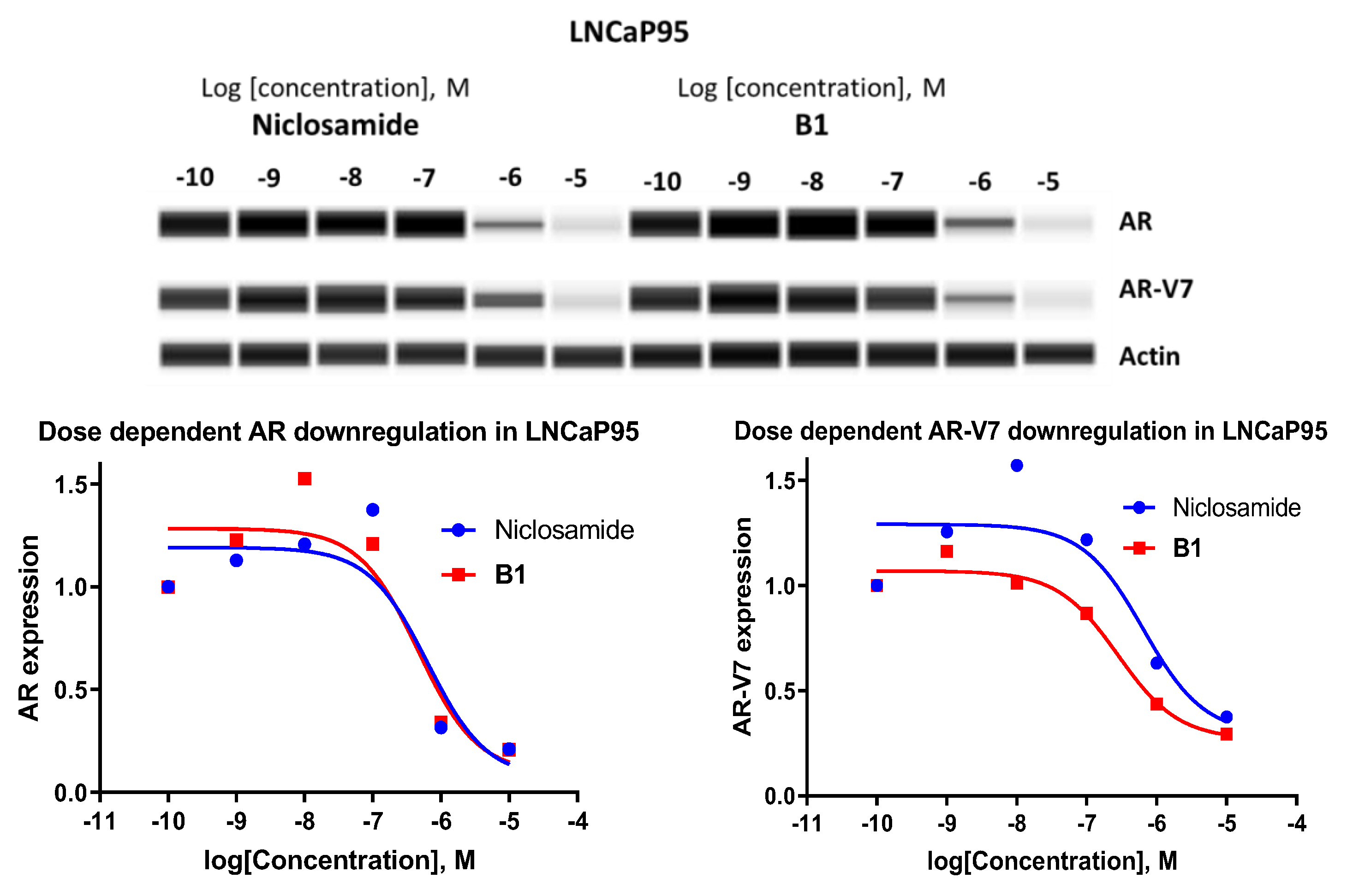 Pharmaceuticals 16 00735 g003