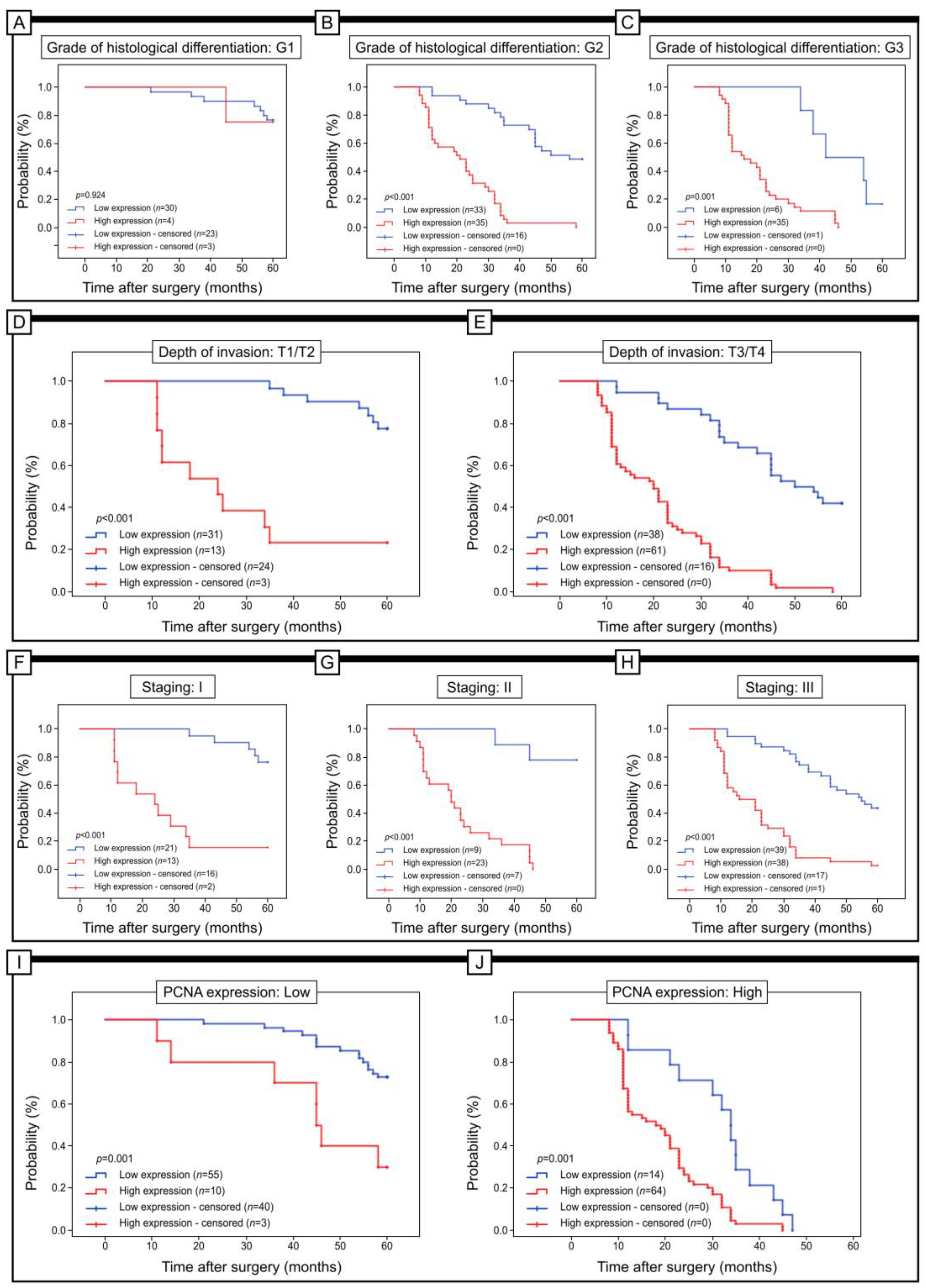 Pharmaceuticals 16 00740 g004