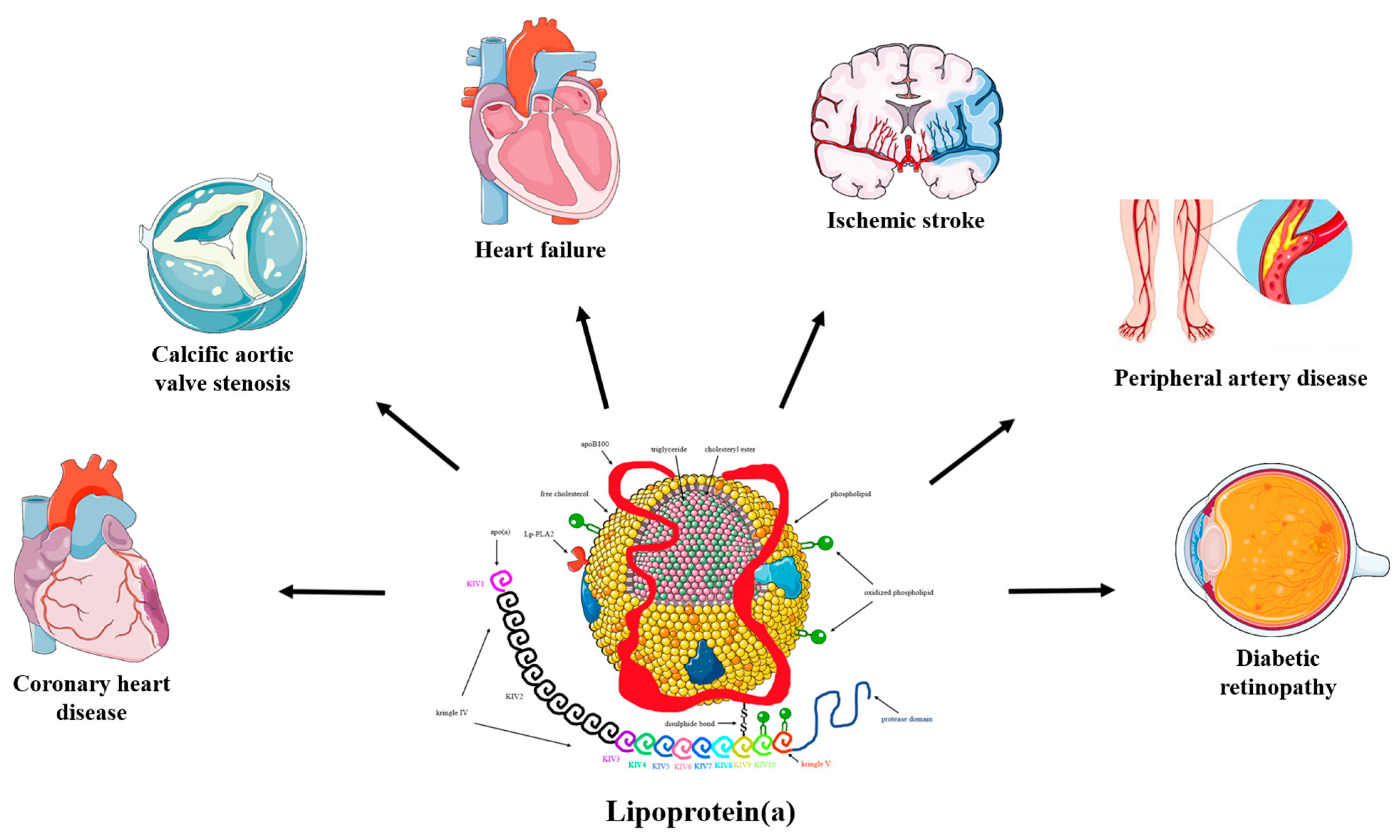 Pharmaceuticals 16 00750 g001