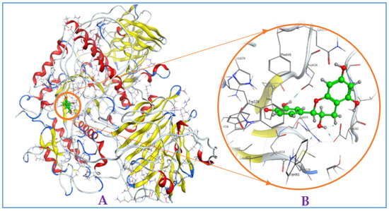 Pharmaceuticals 16 00756 g0a2