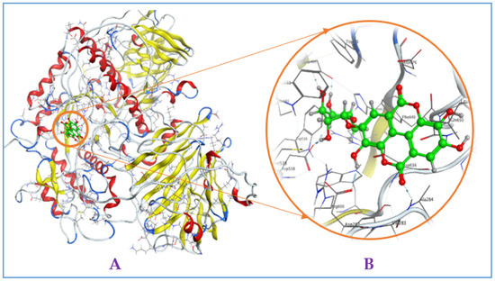 Pharmaceuticals 16 00756 g0a3