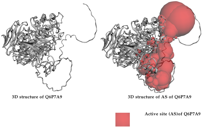 Pharmaceuticals 16 00756 i005