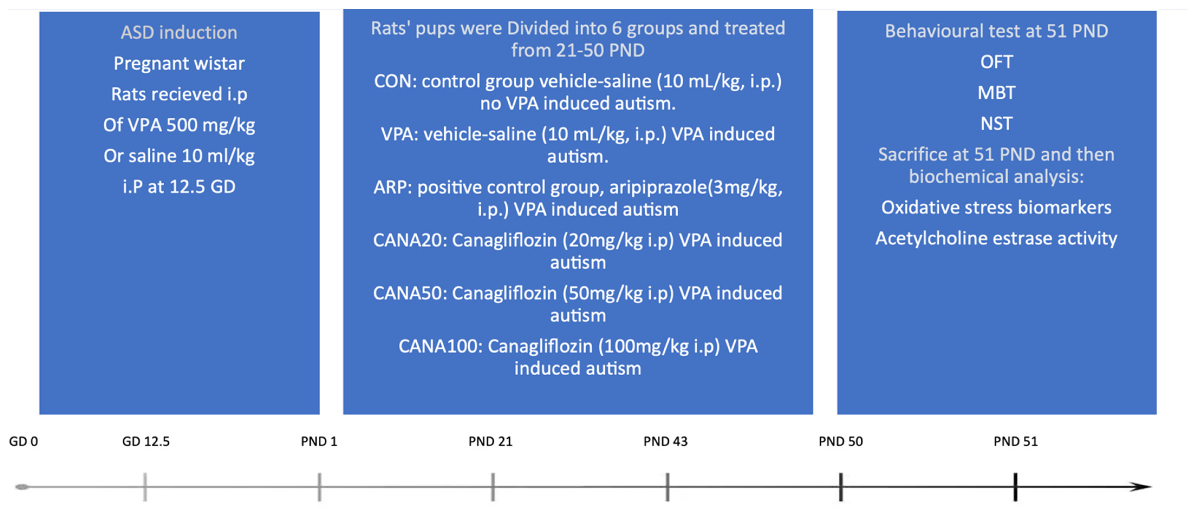 Pharmaceuticals 16 00769 g007