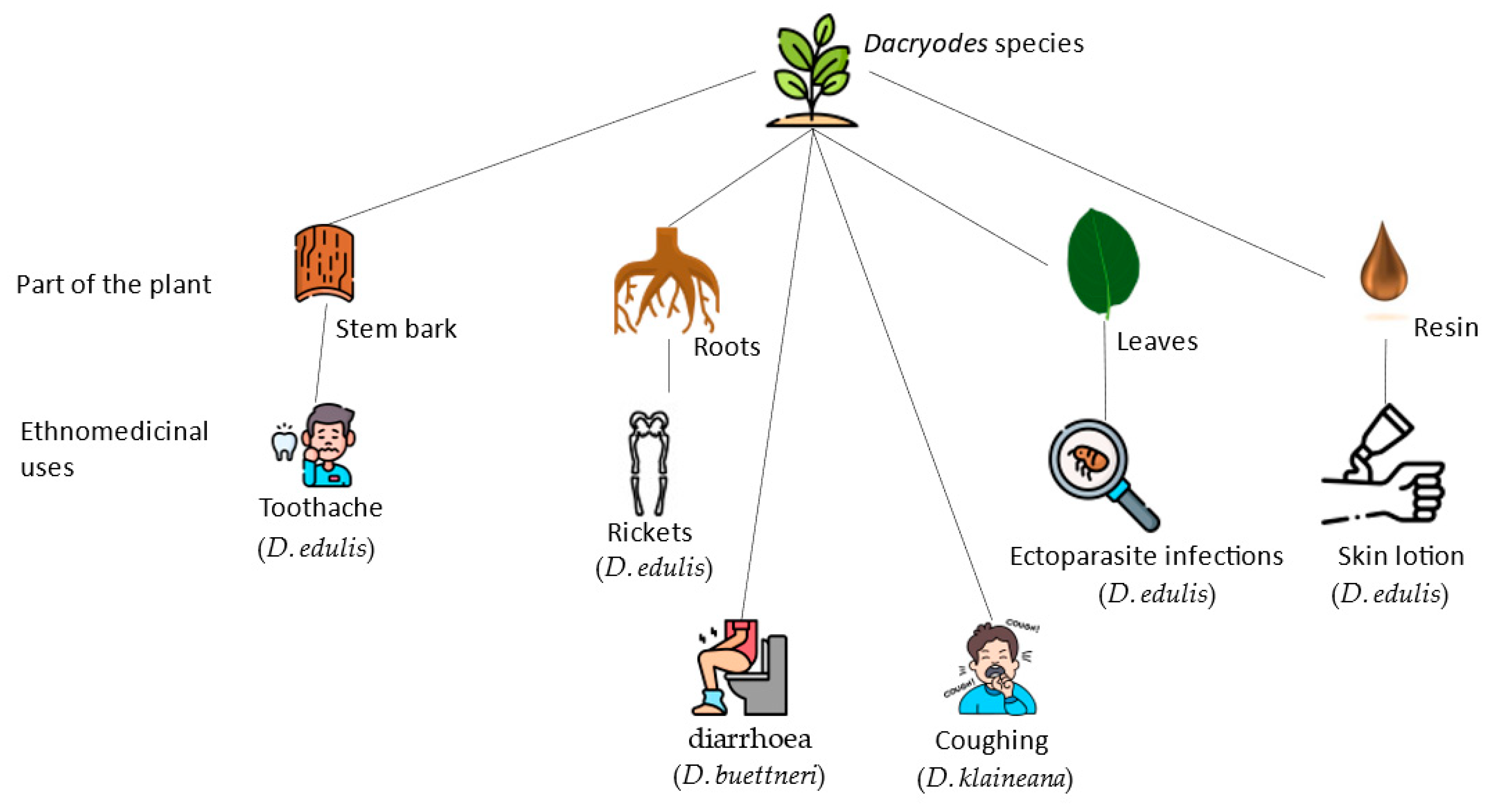 Pharmaceuticals 16 00775 g002