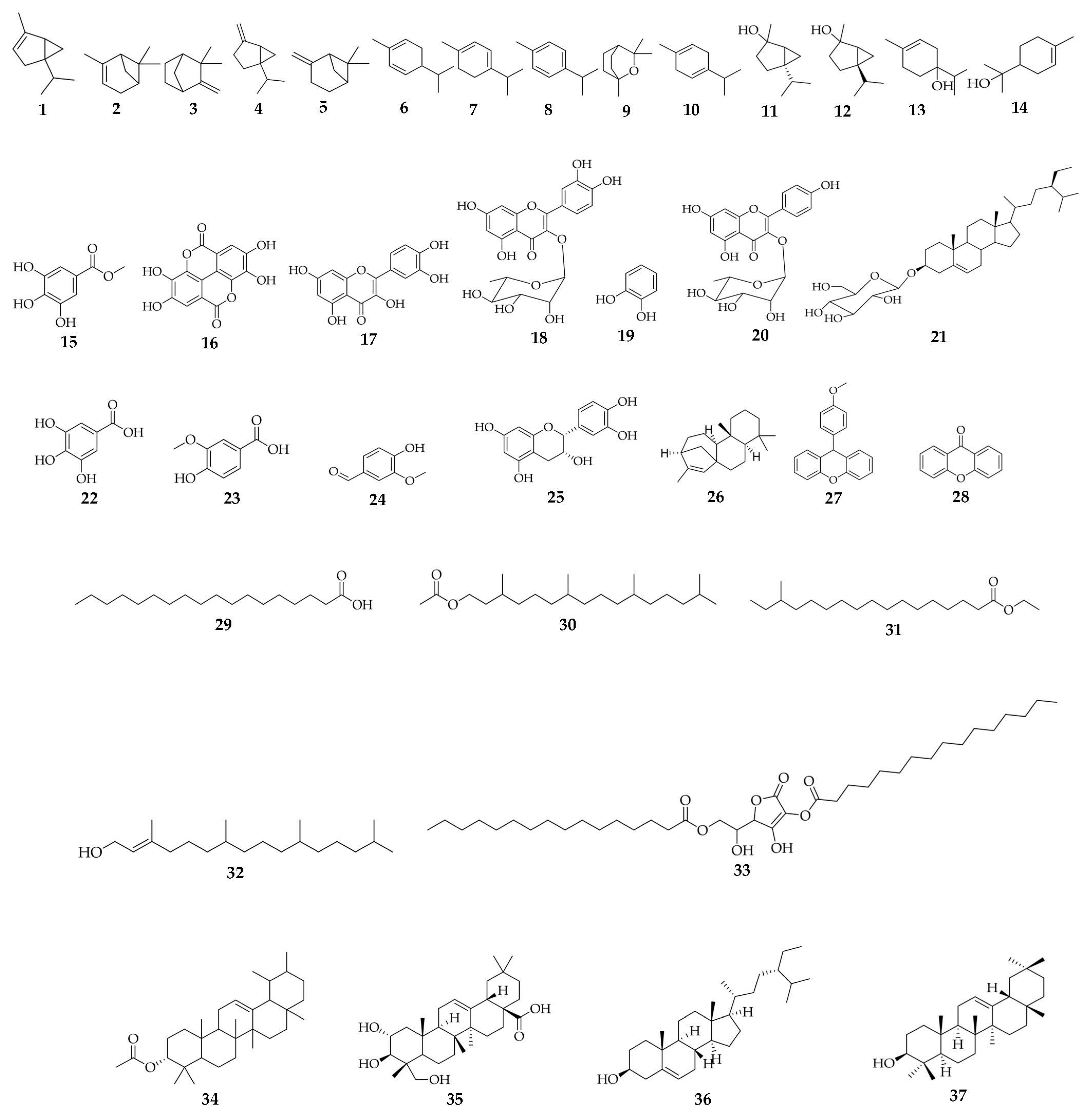 Pharmaceuticals 16 00775 g004