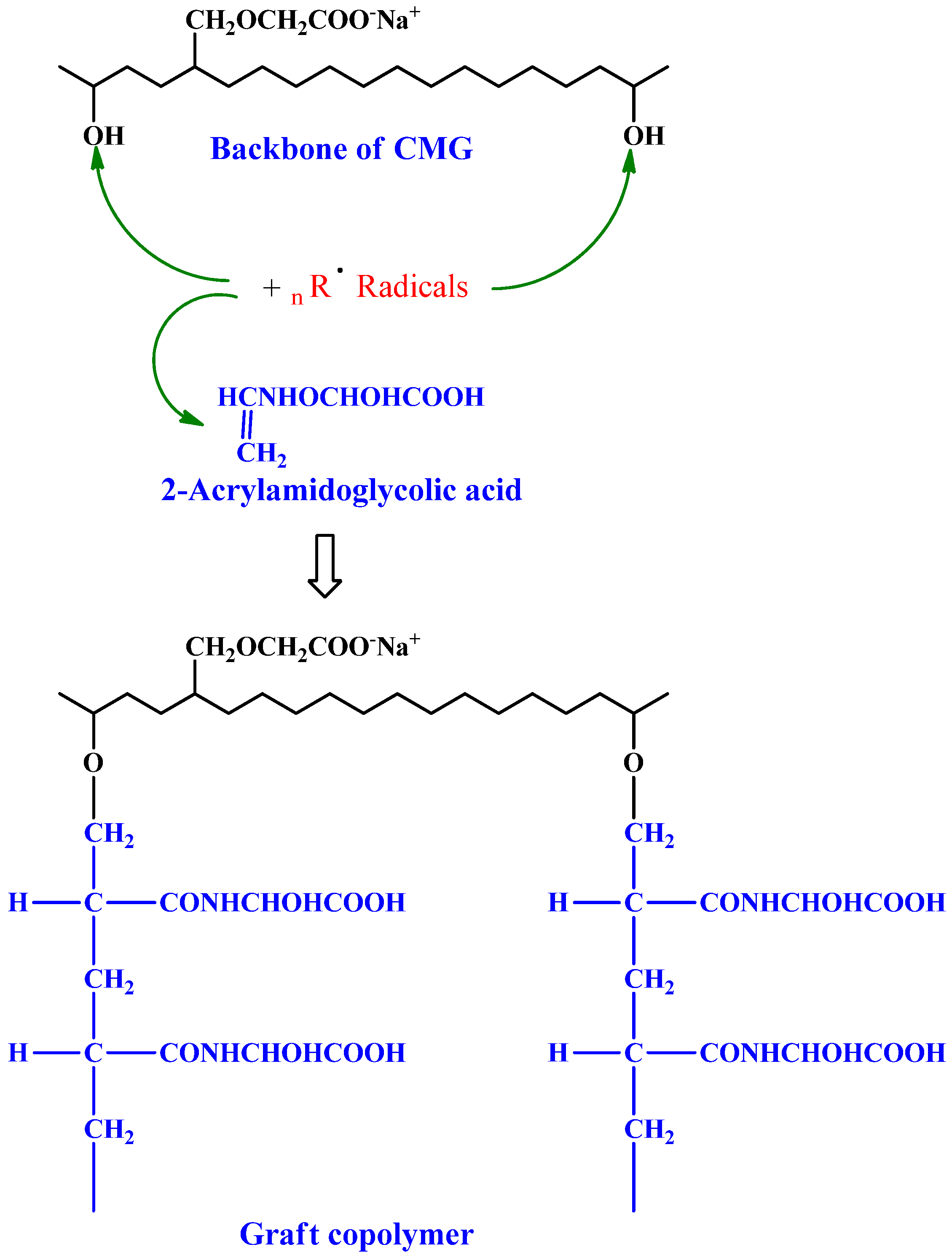 Pharmaceuticals 16 00776 g001