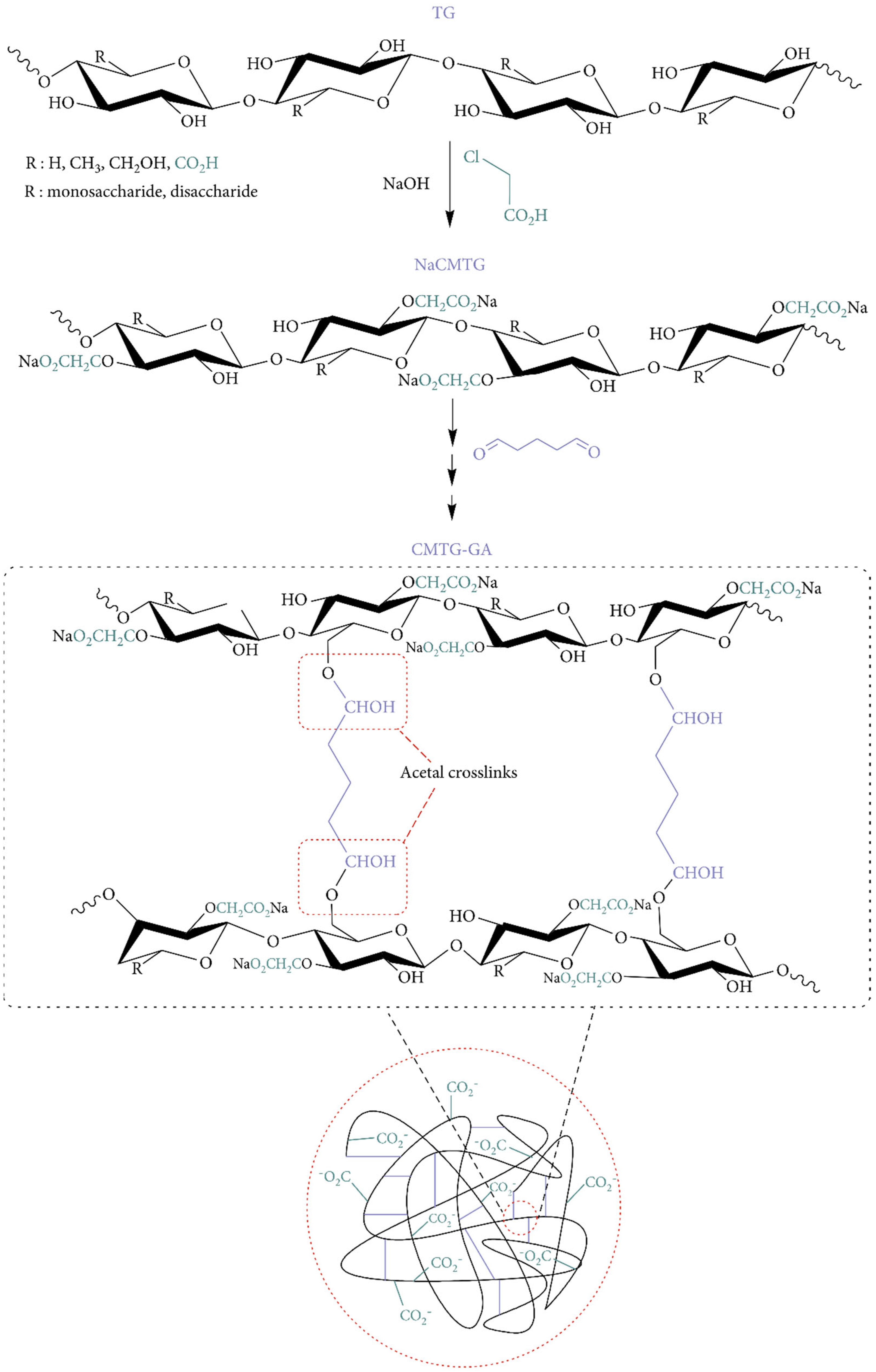 Pharmaceuticals 16 00776 g002